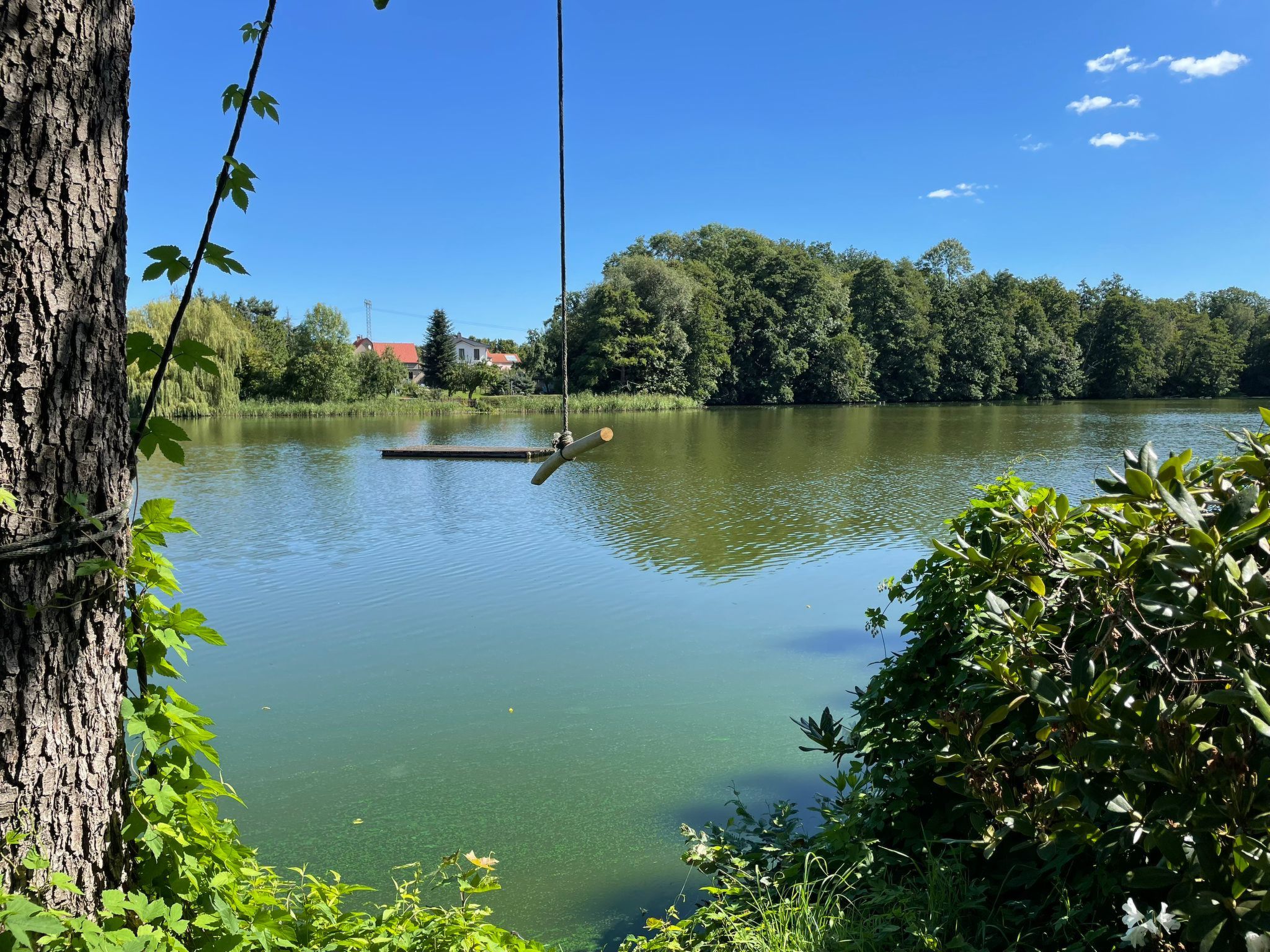 Rosencottage-Buiten