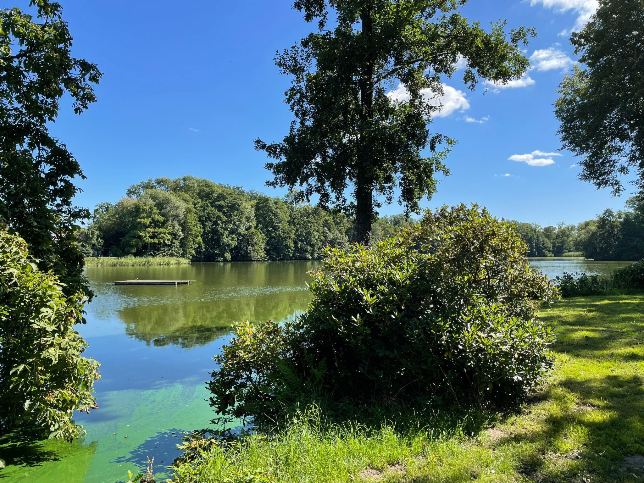 Parkblick-Draußen