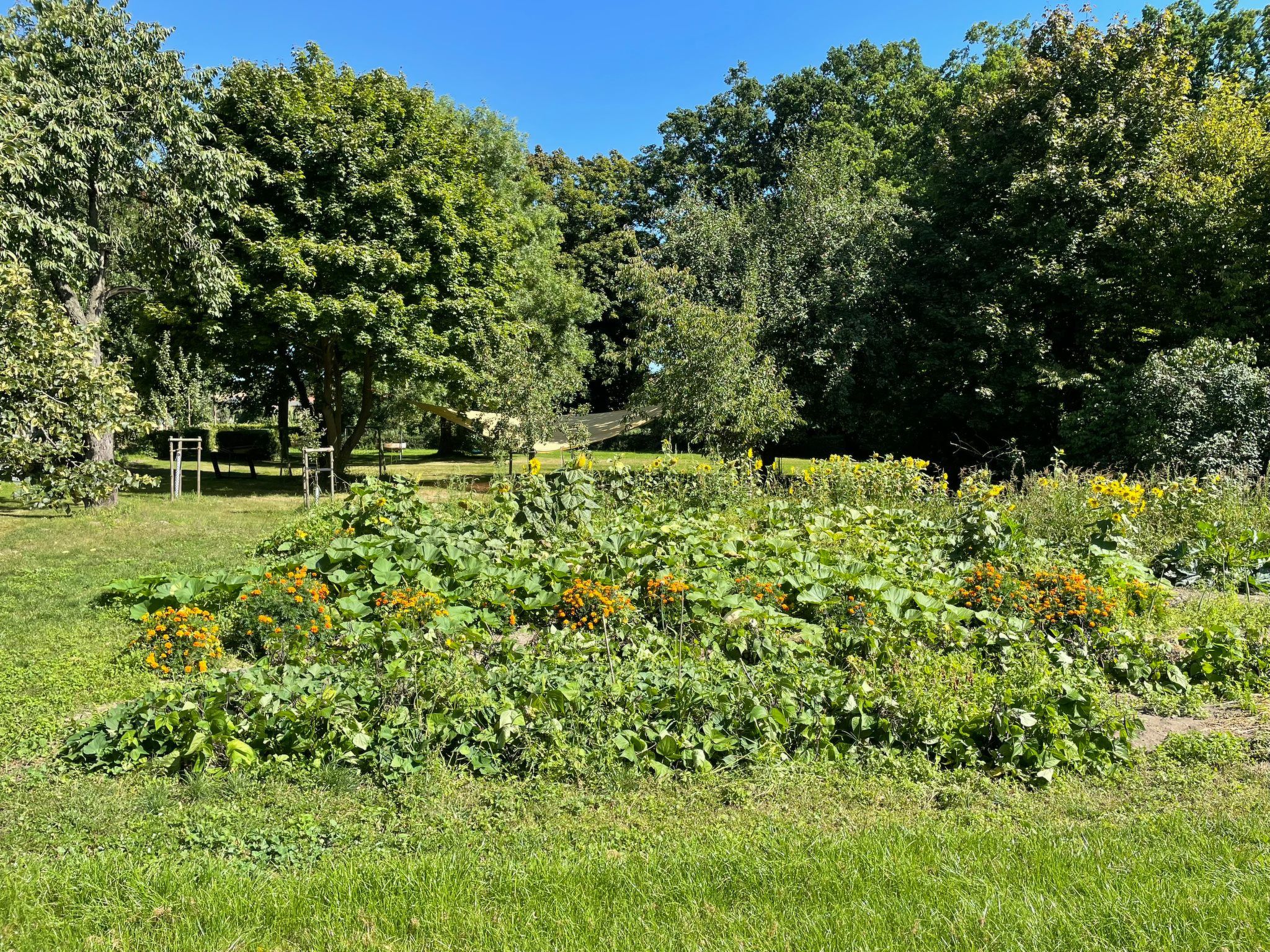 Parkblick-Draußen