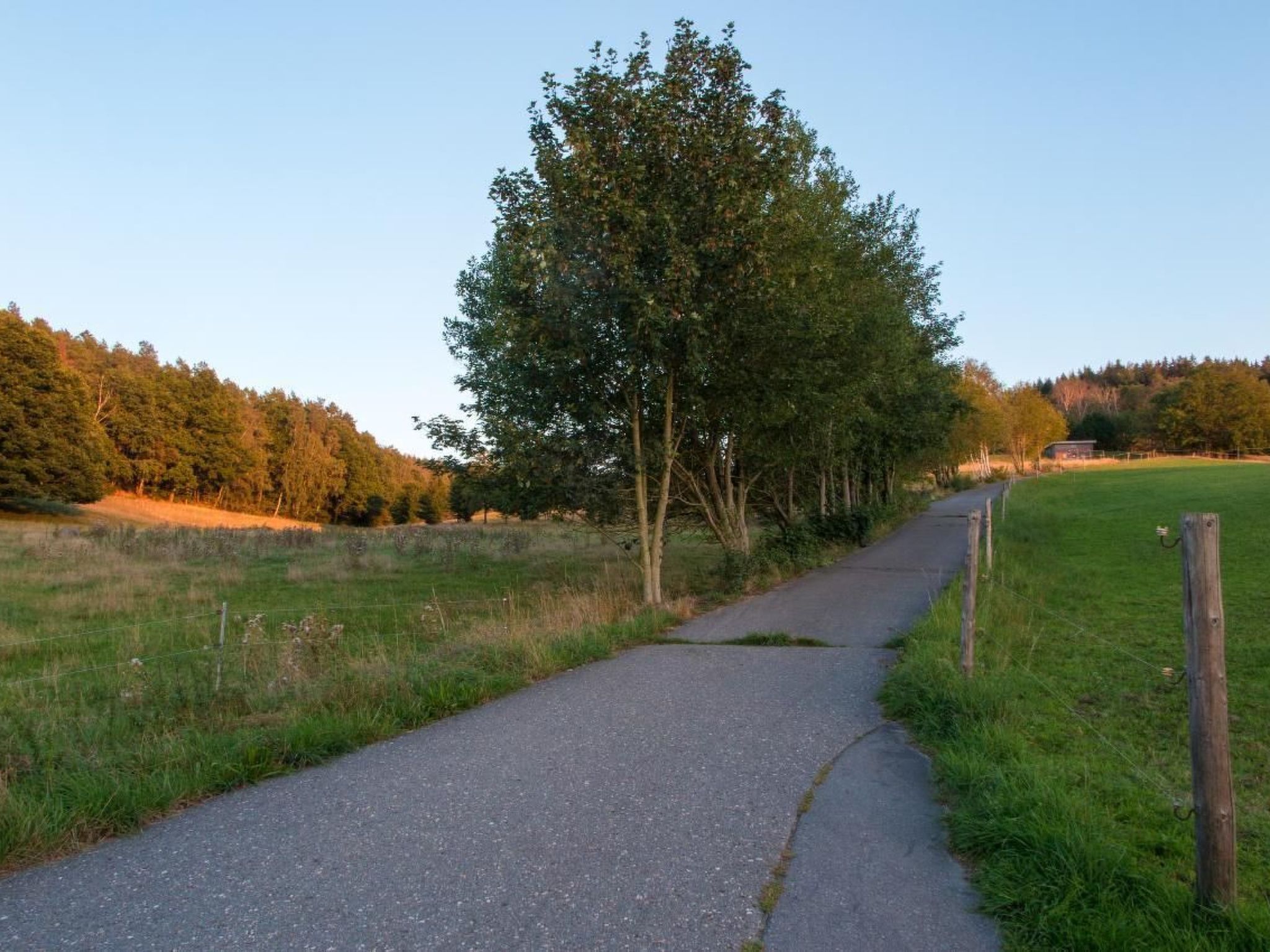 Wohnung in Burkhardtsdorf-Image-tags.info