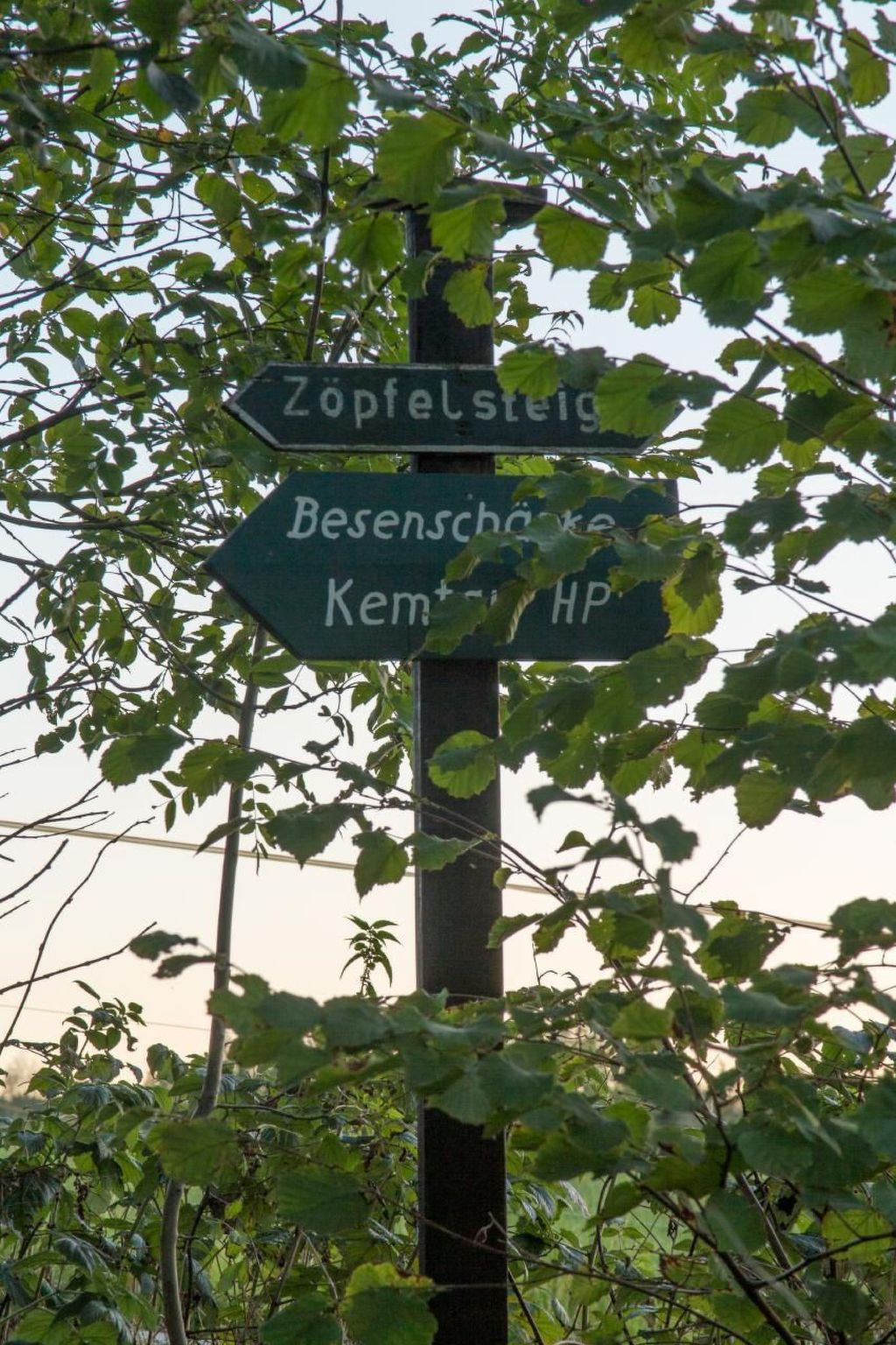 Wohnung in Burkhardtsdorf-Buiten