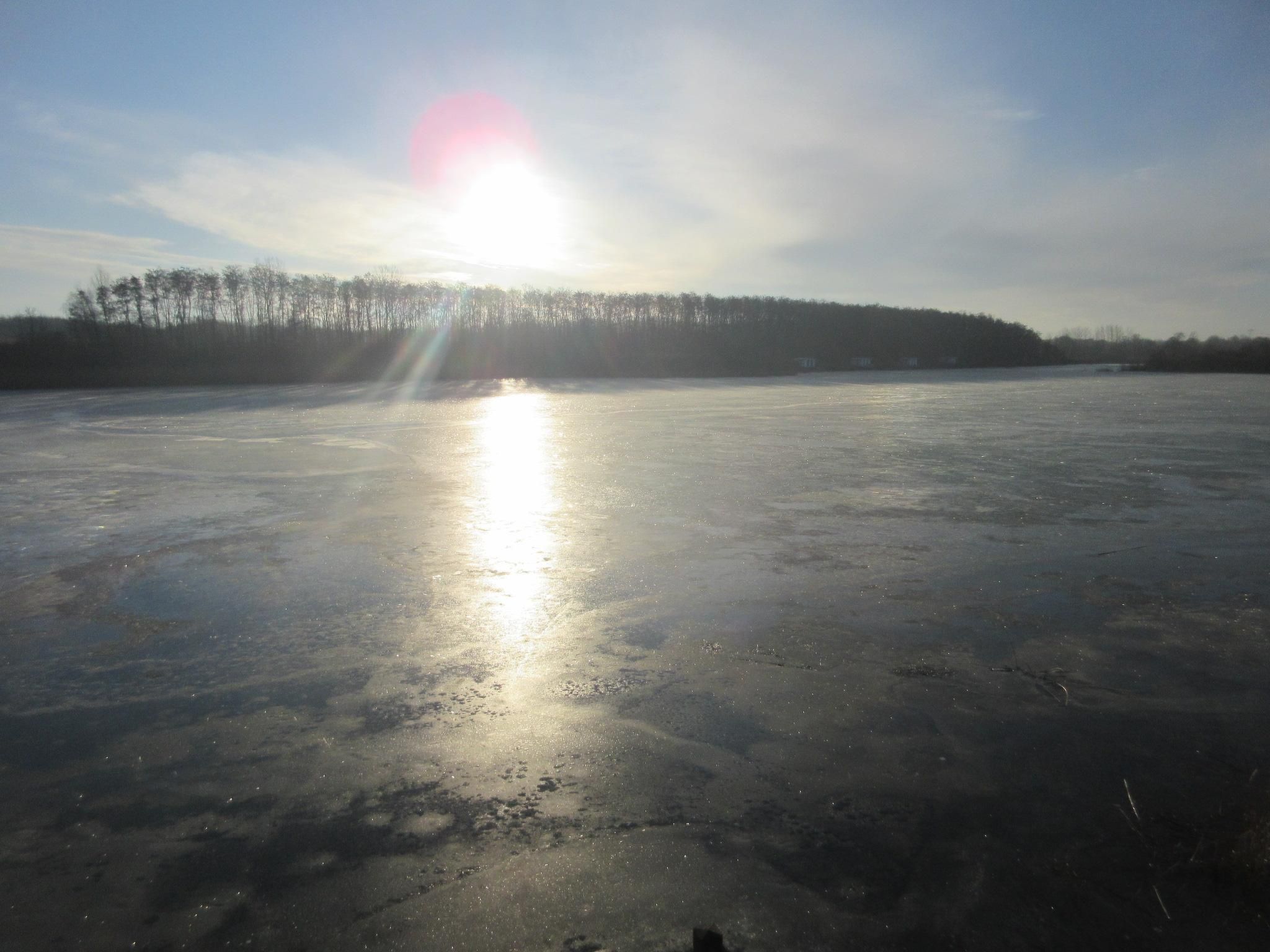 Seehaus Seepferdchen-Binnen