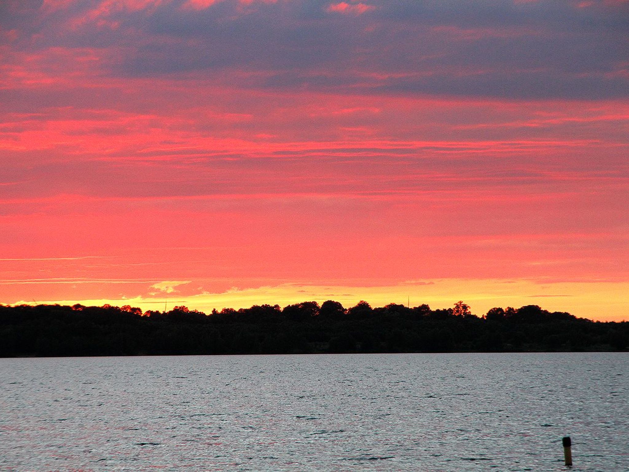 Haus mit Kunst-Binnen