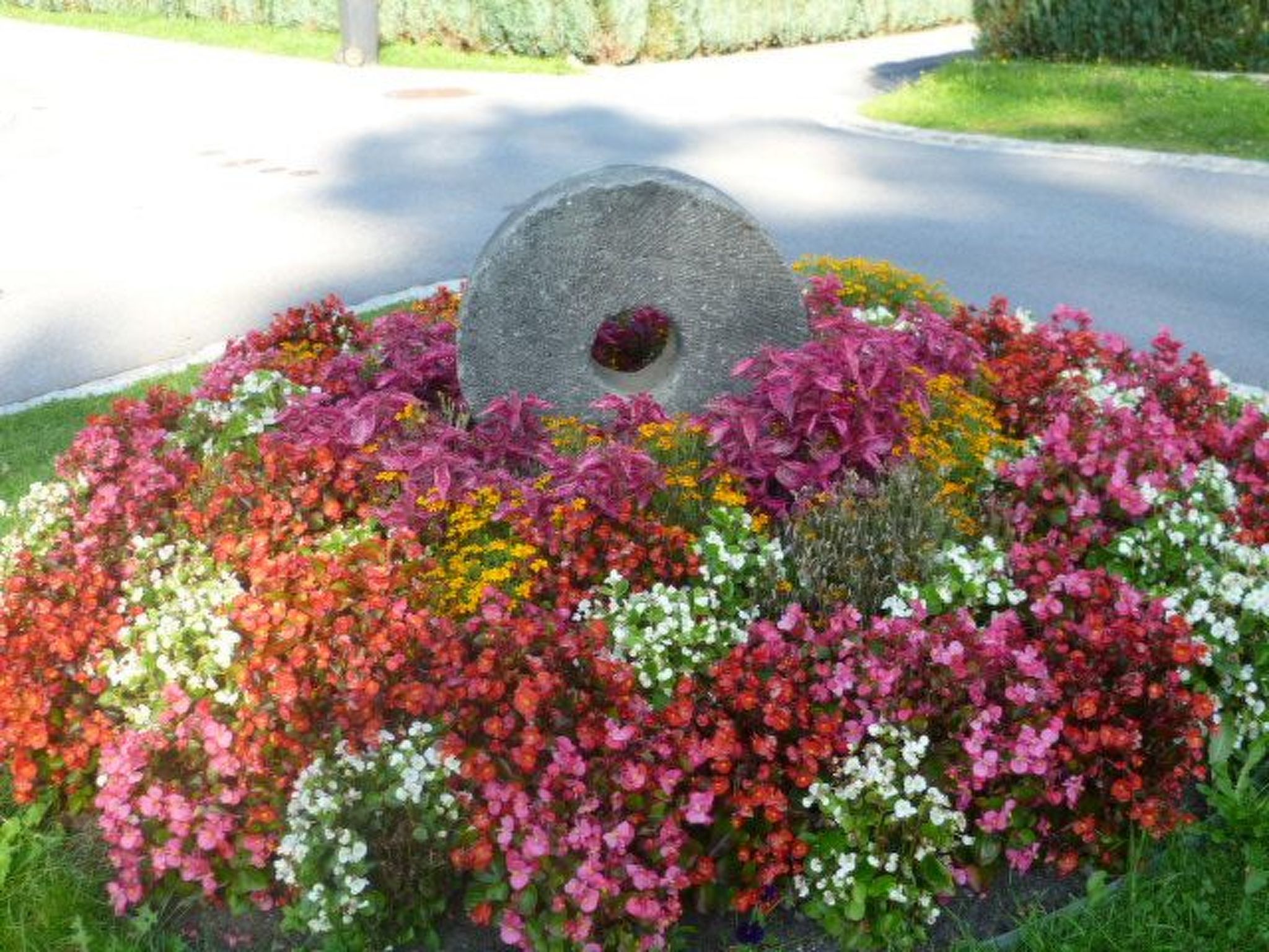 Studio-Appartement mit Bergblick
