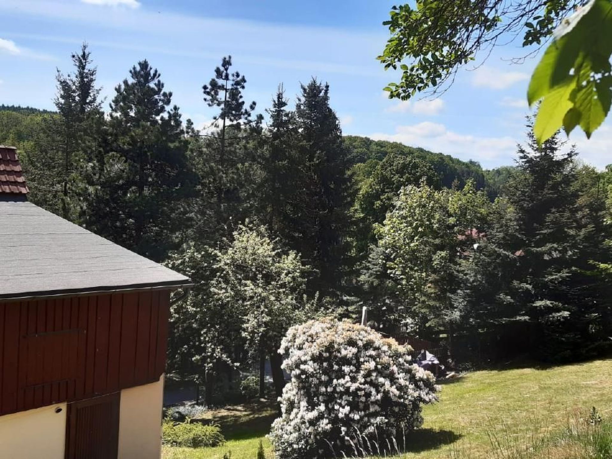 Bergnest-Image-tags.info