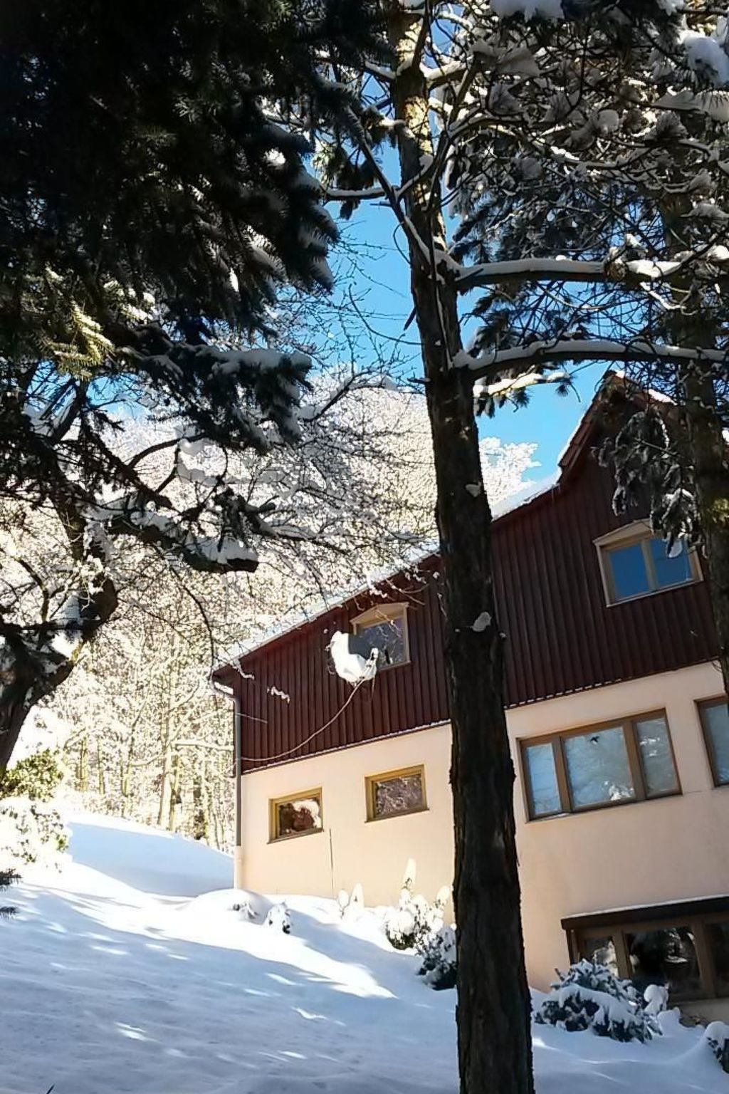 Bergnest-Image-tags.info