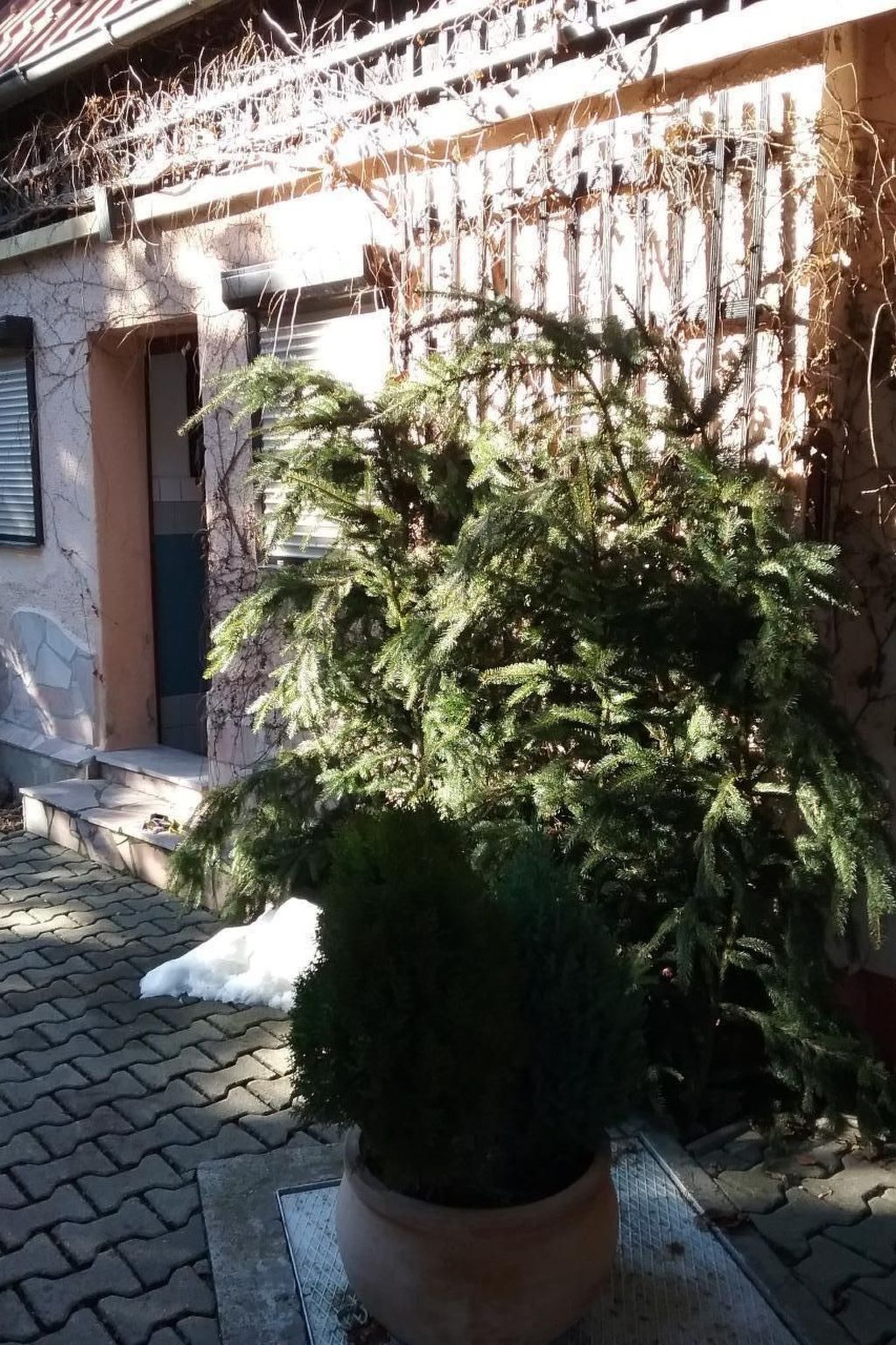 Bungalow-Image-tags.info