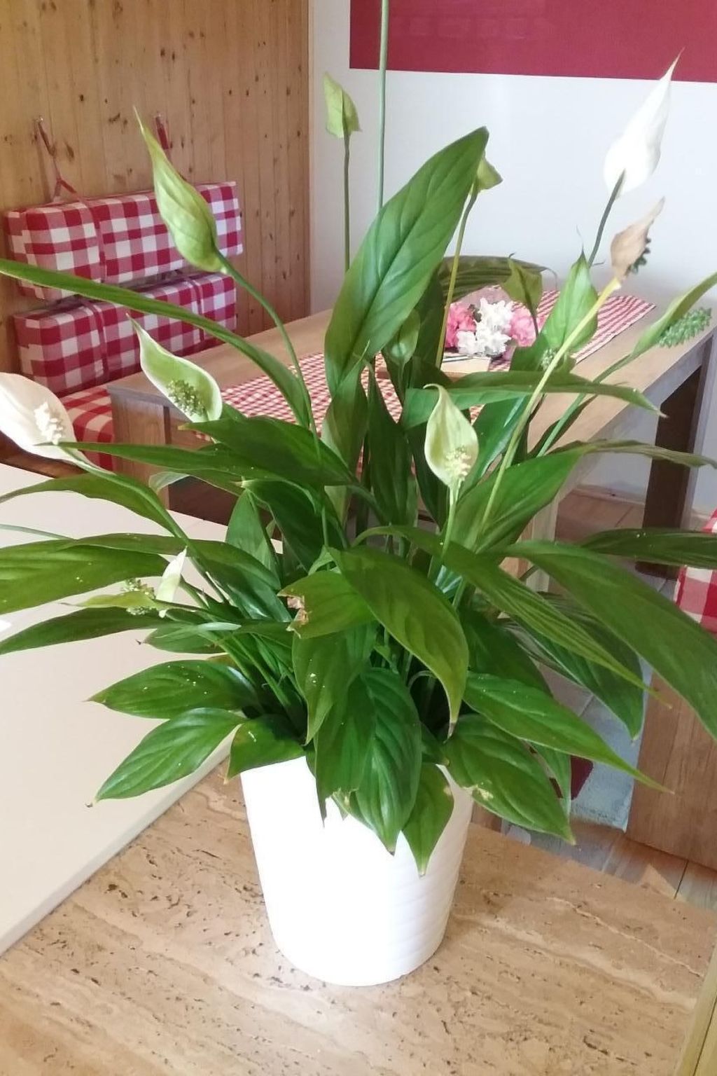 Bungalow-Image-tags.info