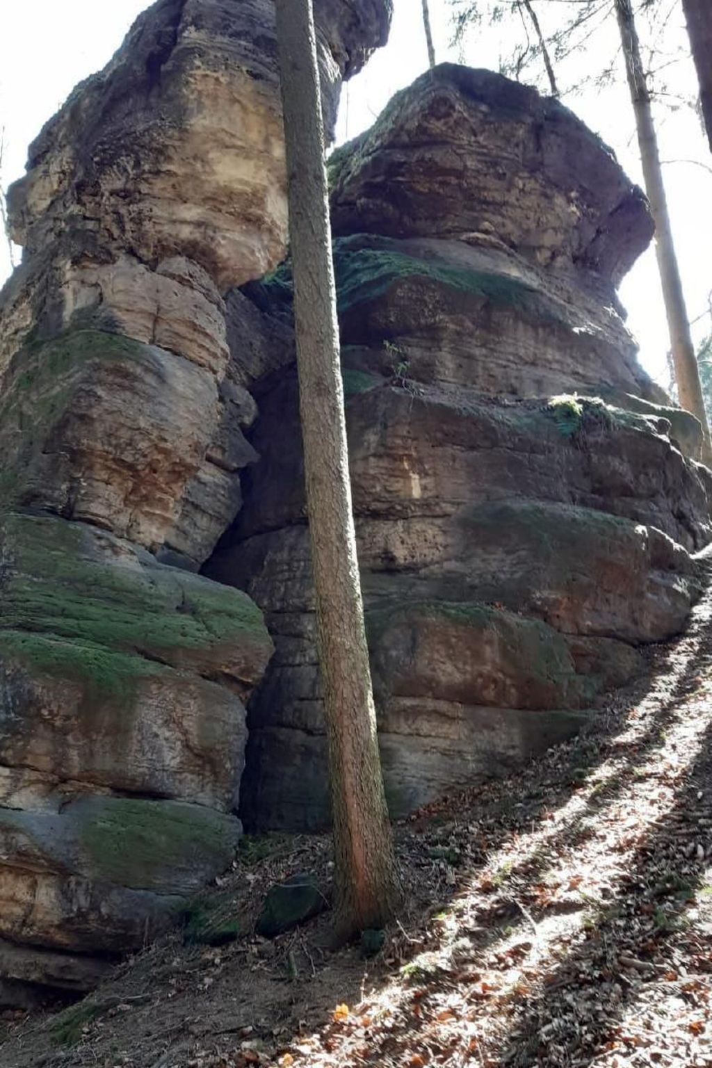 Bungalow-Image-tags.info