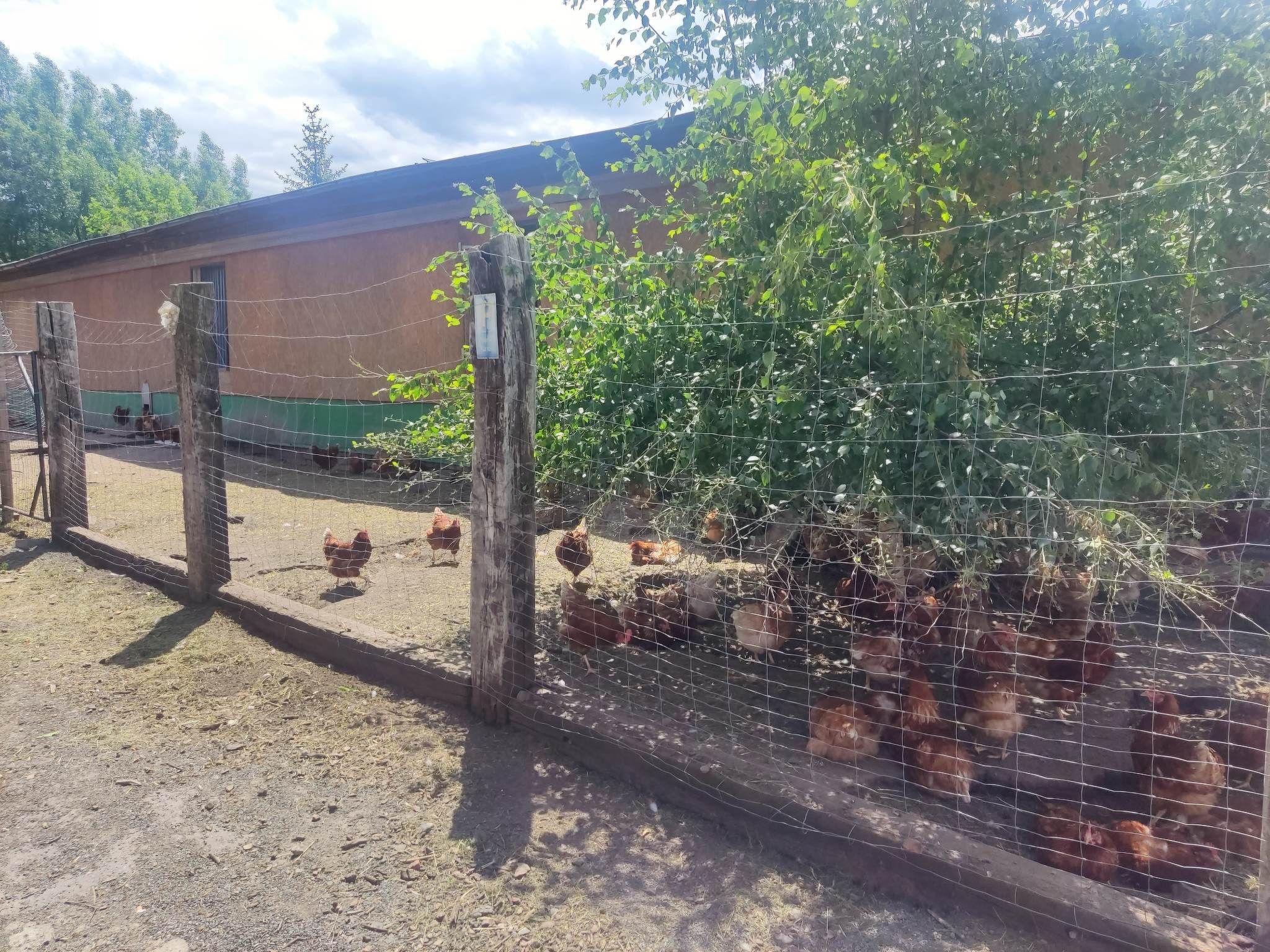 Am Hofladen Hellendorf - Sächsische Schweiz-Image-tags.info