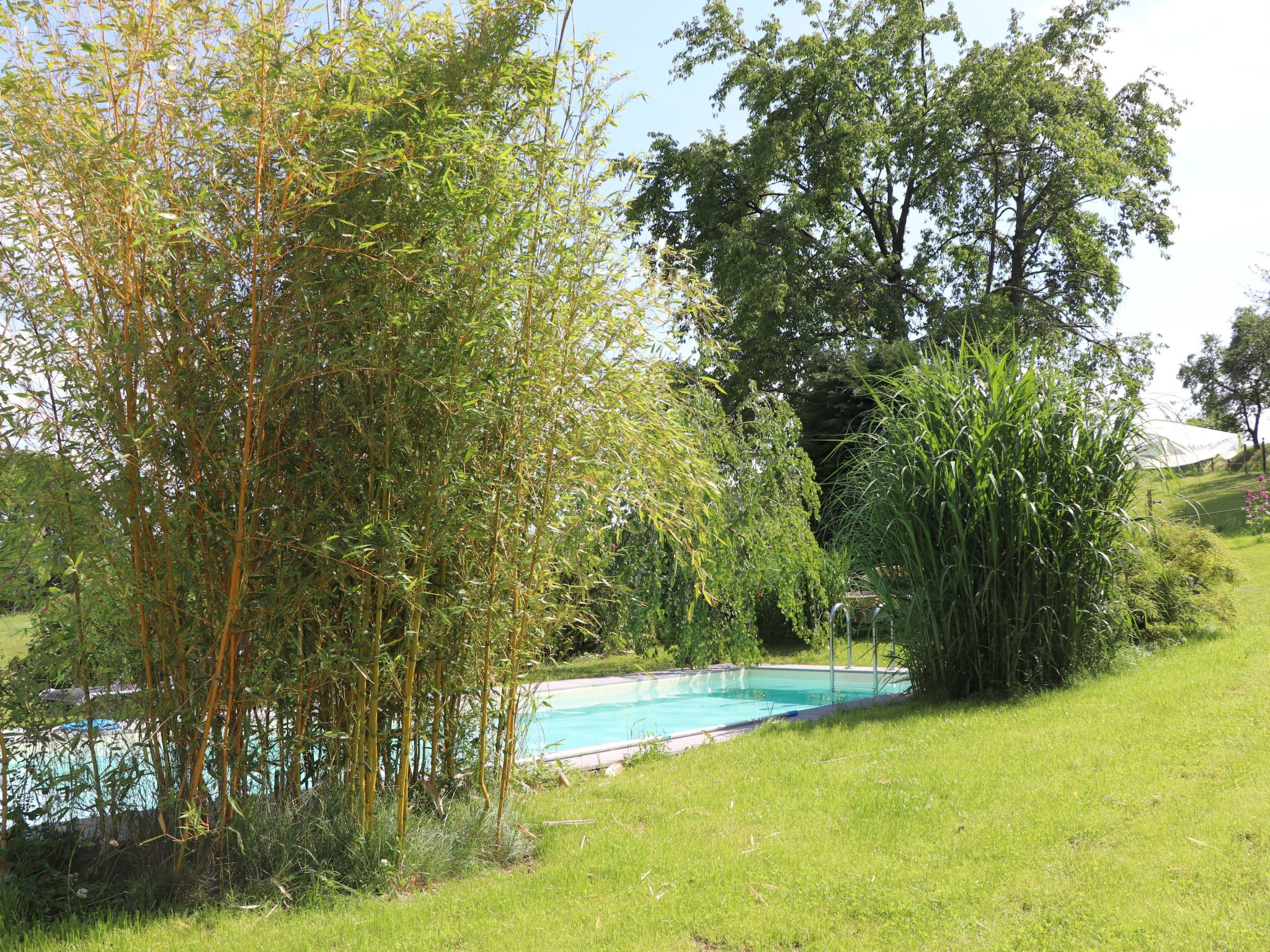 Wohnung mit Terrasse im sanierten Fachwerkhof-Image-tags.info