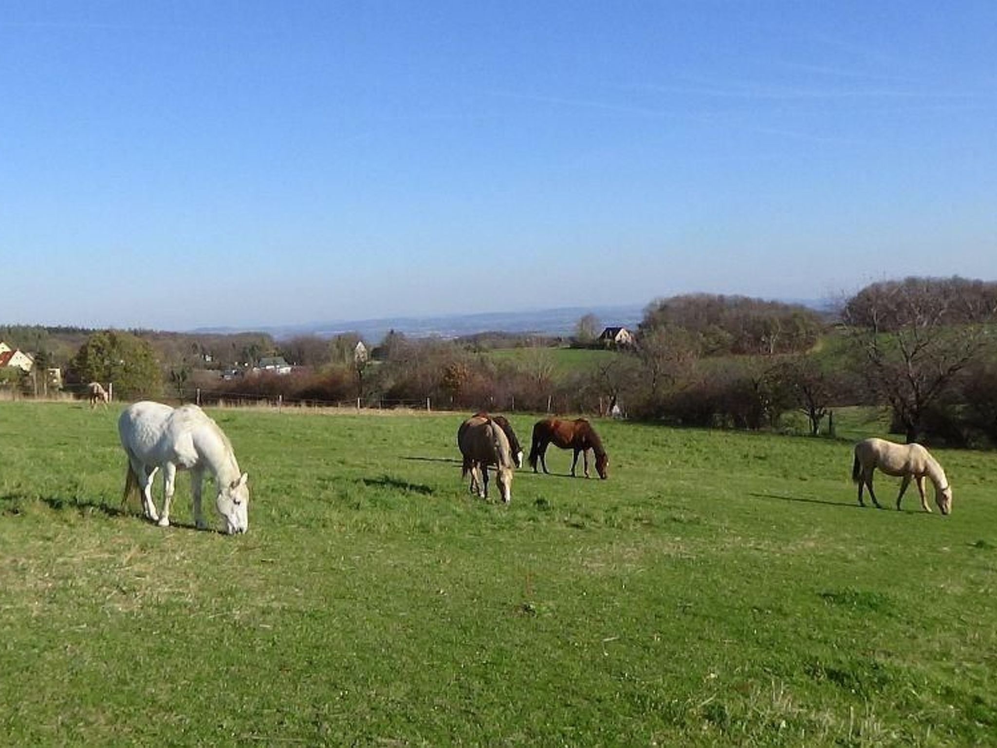 Wohnung mit Terrasse im sanierten Fachwerkhof-Image-tags.info