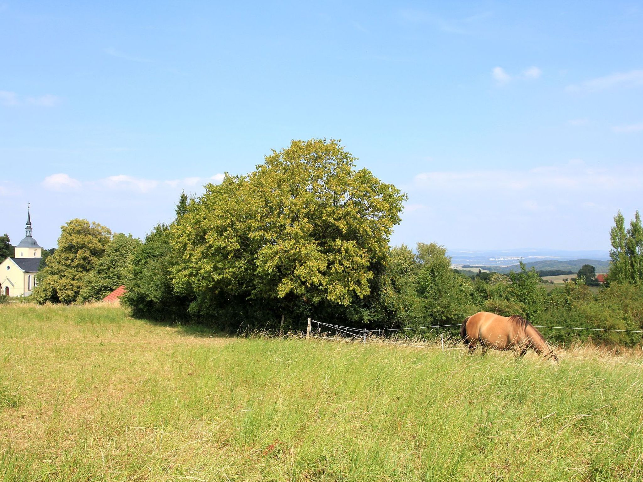 Wohnung mit Terrasse im sanierten Fachwerkhof-Image-tags.info