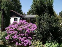 Vrijstaande bungalow in Maxen met privézwembad en tuin - thumbnail 5