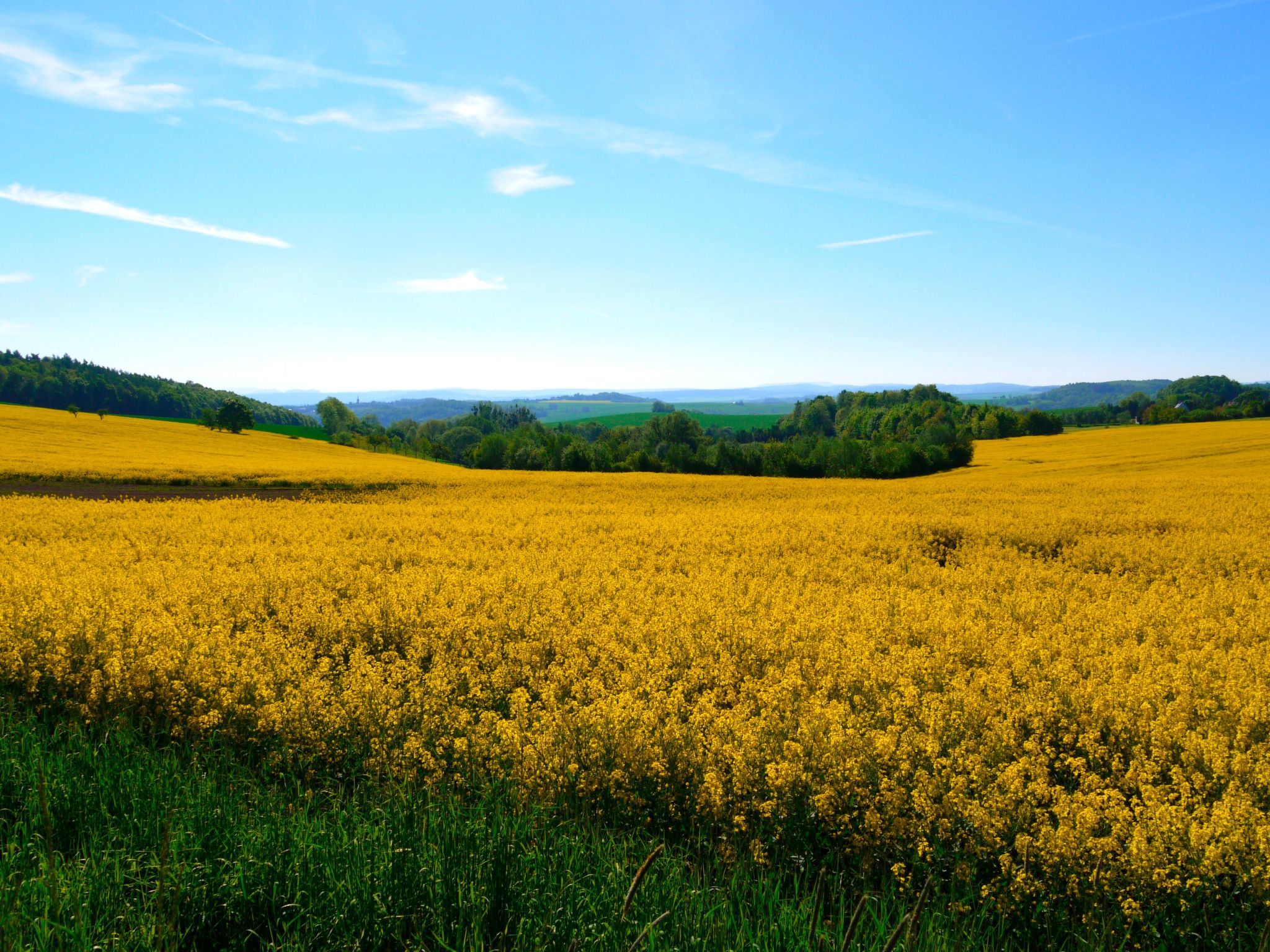In Maxen mit Privatem Pool-Drinnen