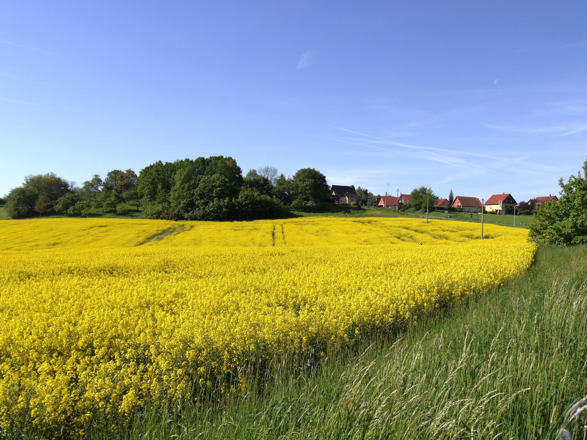 In Maxen mit Privatem Pool-Drinnen