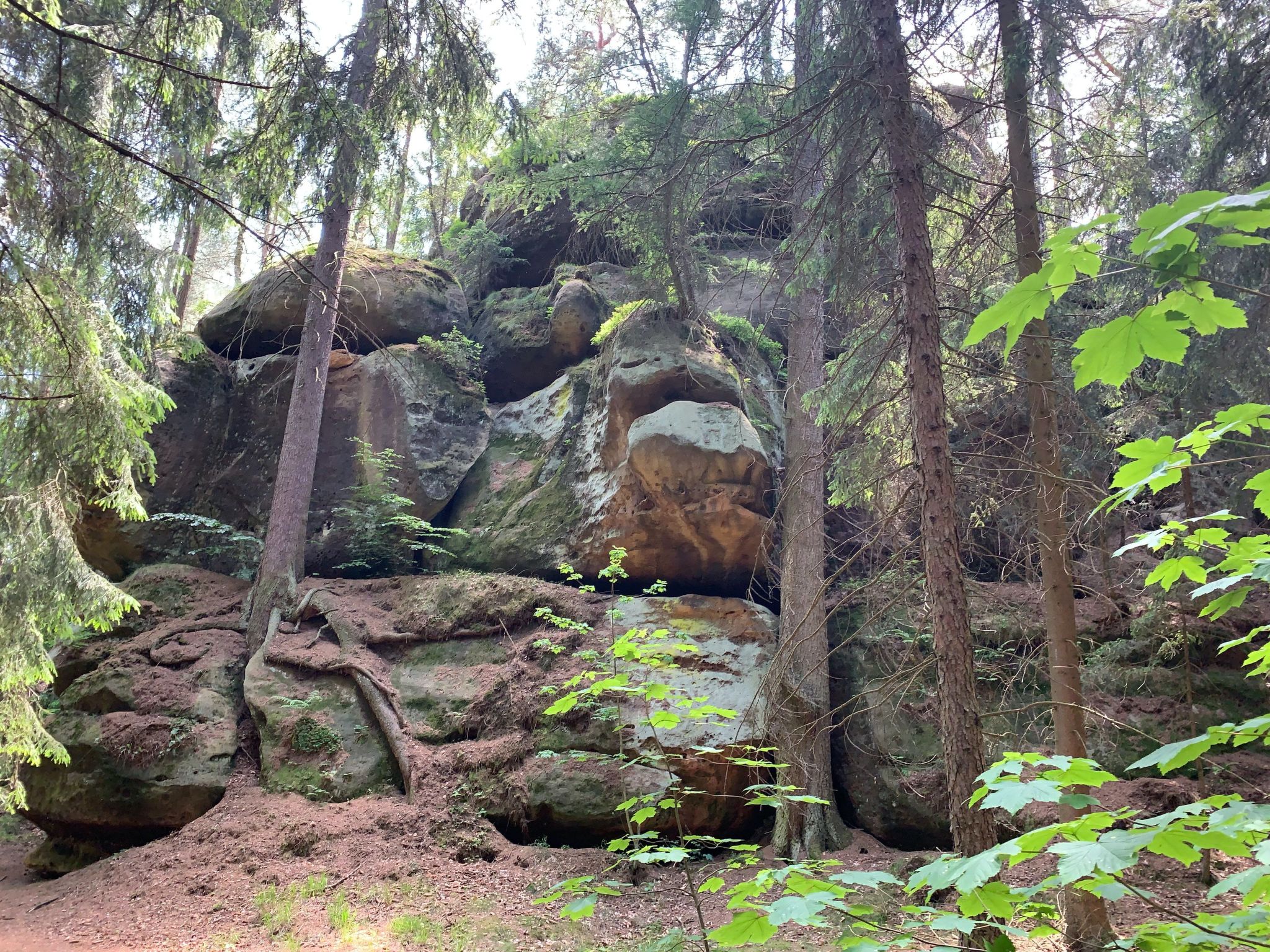 Waldferienhaus Dunja mit Sauna, Whirlpool, direkt am Waldrand, Kletterfelsen-Image-tags.info