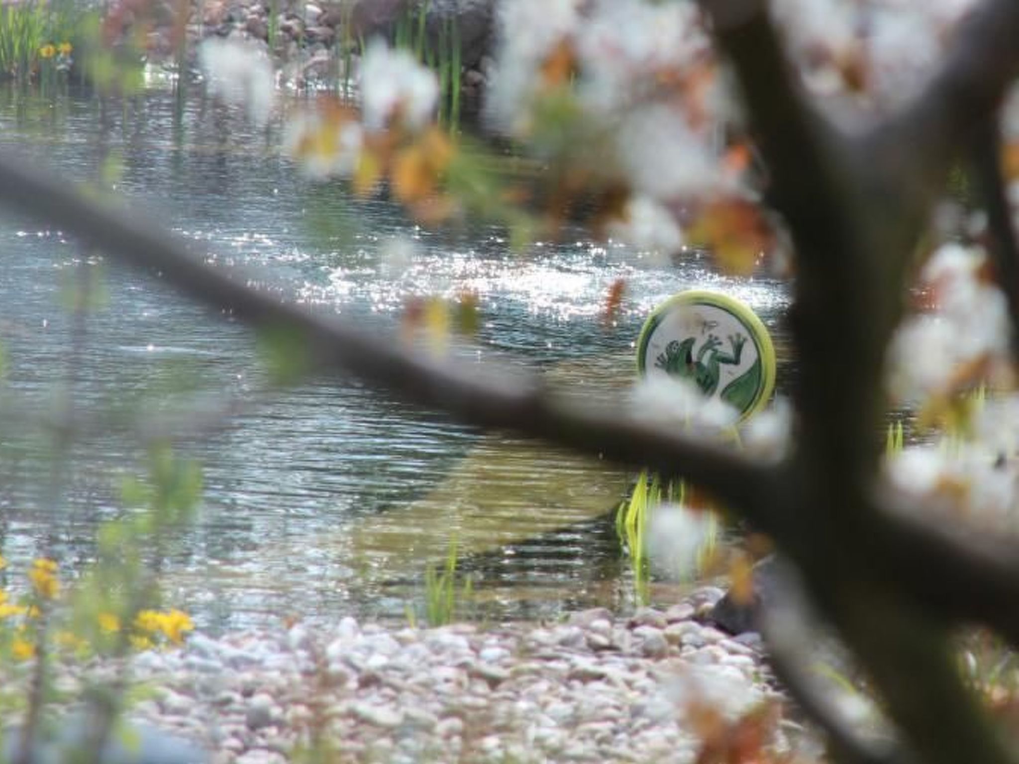 Appartement mit Terrasse-Drinnen