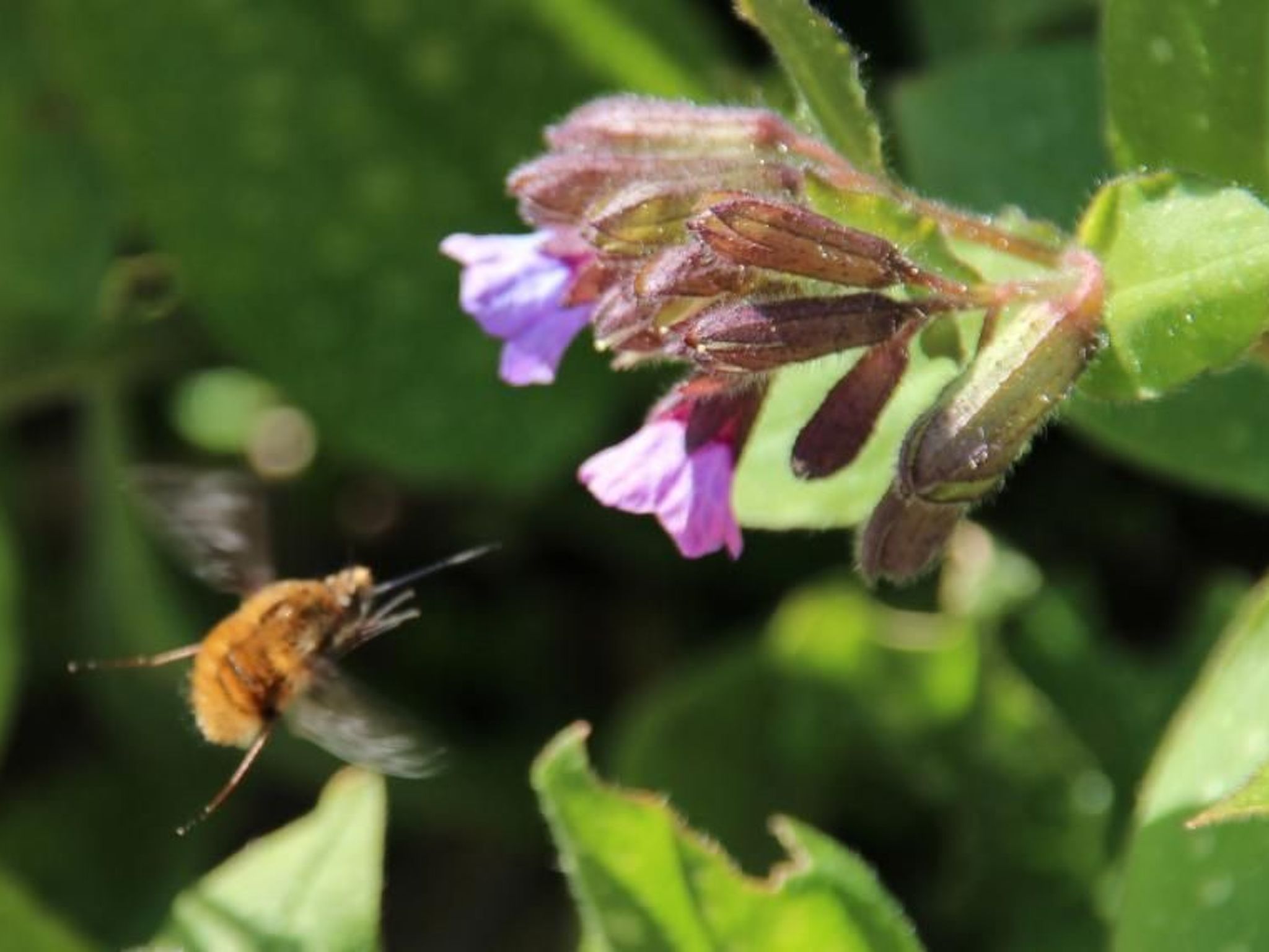 Appartement mit Terrasse-Drinnen
