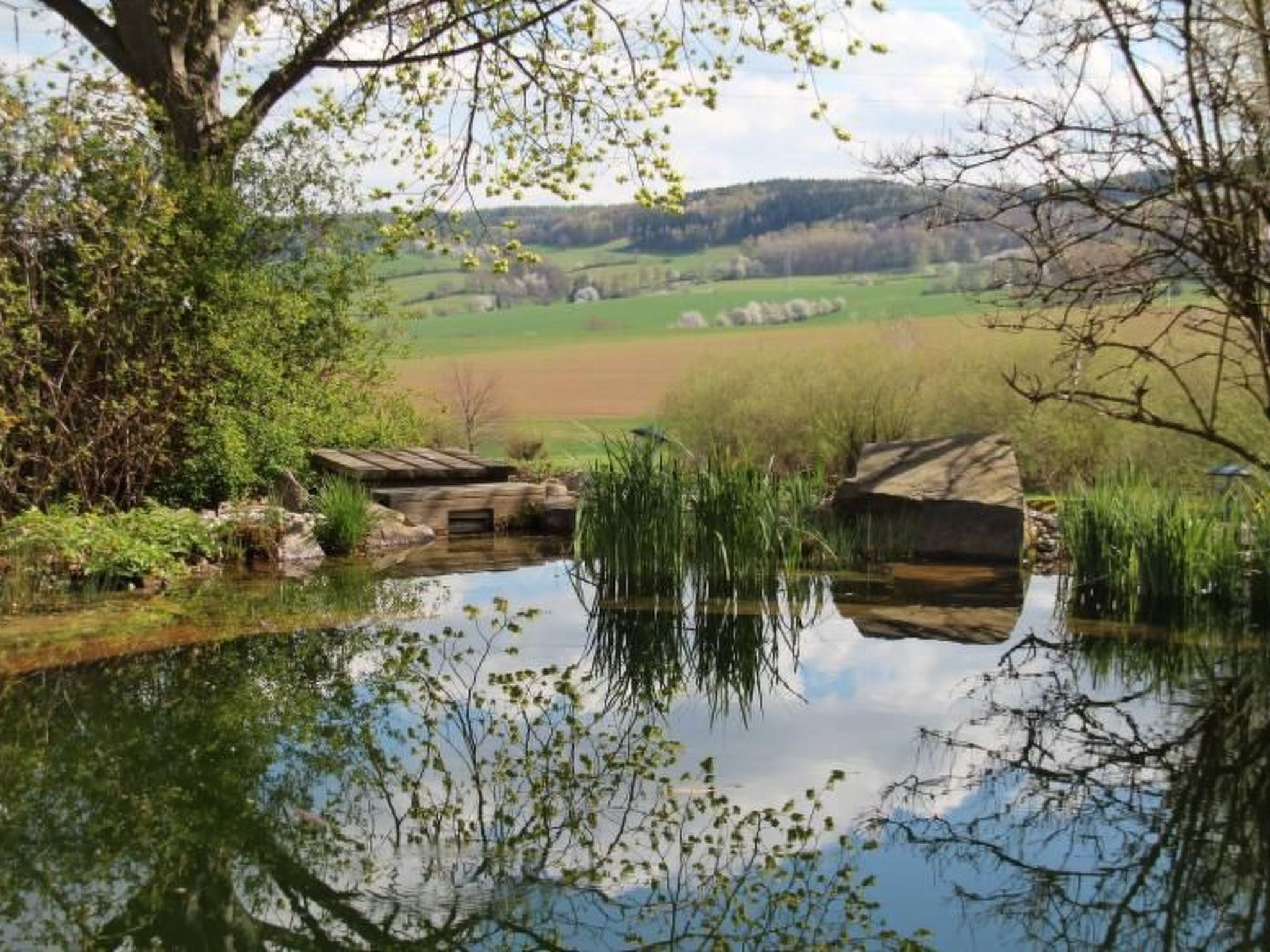 Appartement mit Terrasse-Drinnen