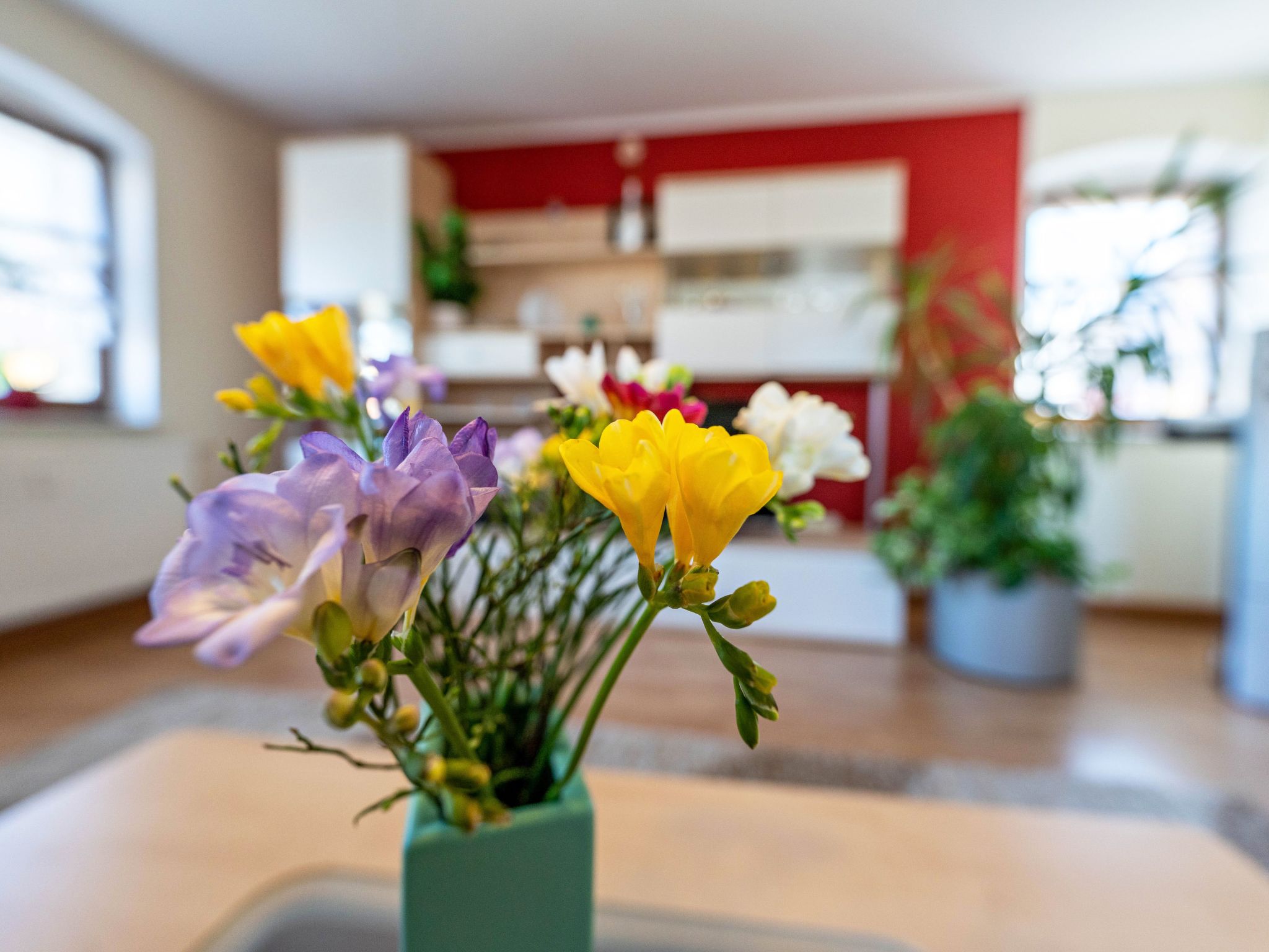 Moderne Ferienwohnung in Pillnitz-Drinnen