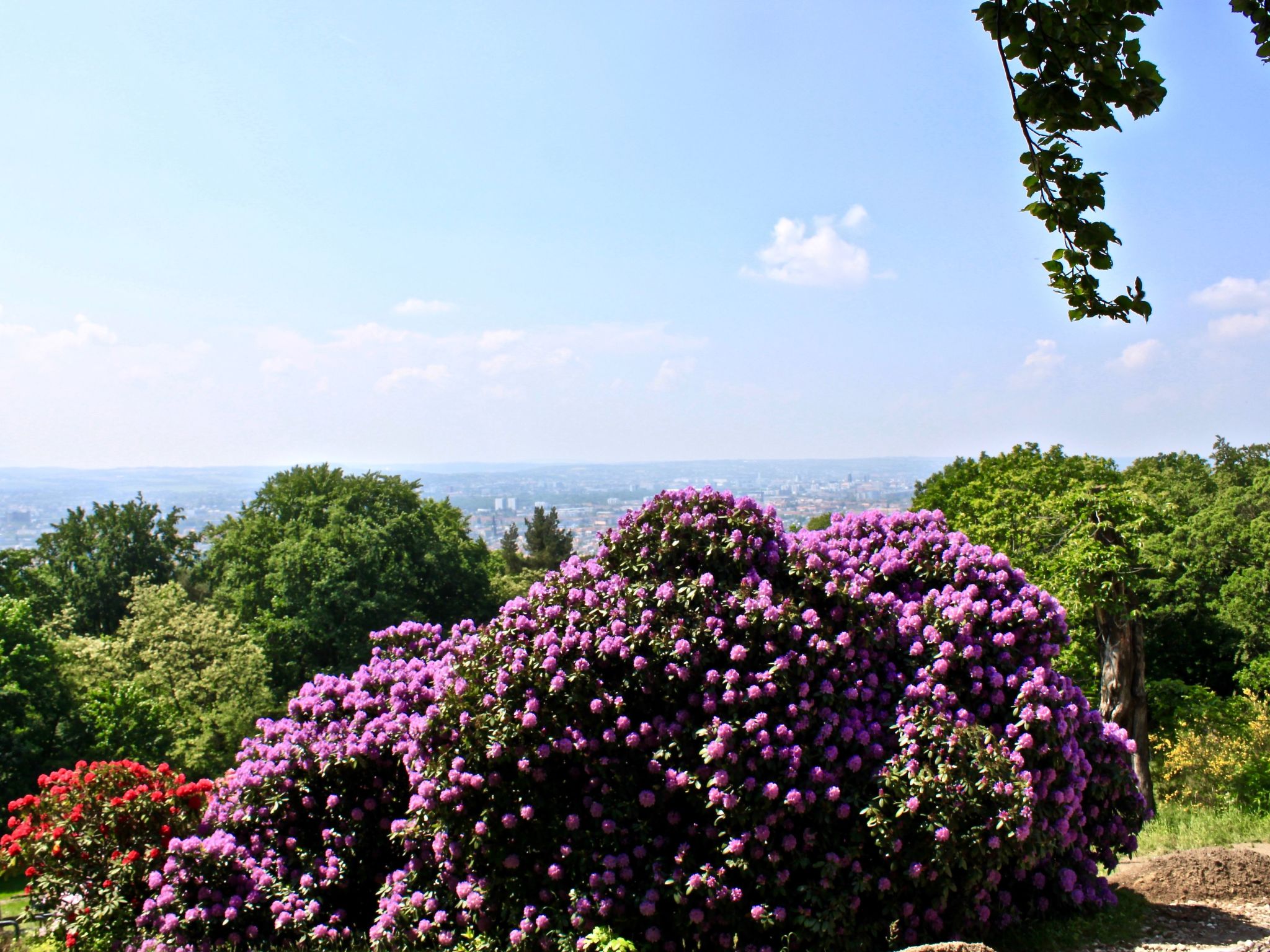 5-Sterne (Deutscher Tourismusverband) - Erholung wie ein König --Image-tags.info