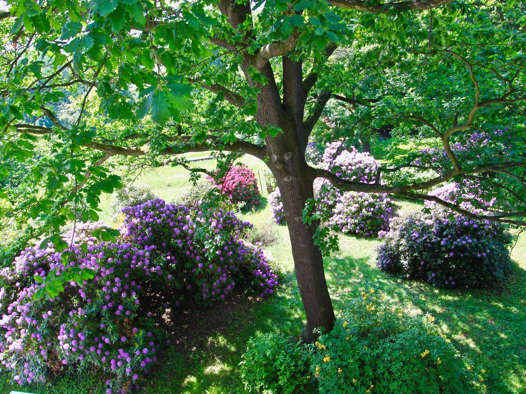 5-Sterne (Deutscher Tourismusverband) - Erholung wie ein König --Image-tags.info