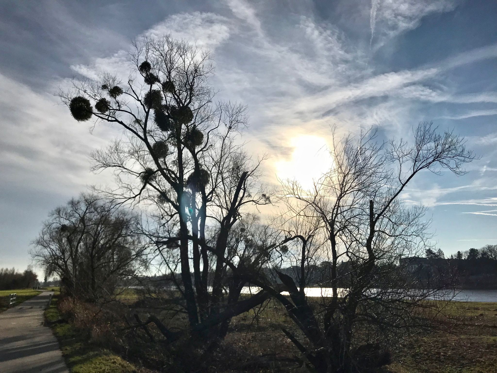 5-Sterne (Deutscher Tourismusverband) - Erholung wie ein König --Image-tags.info