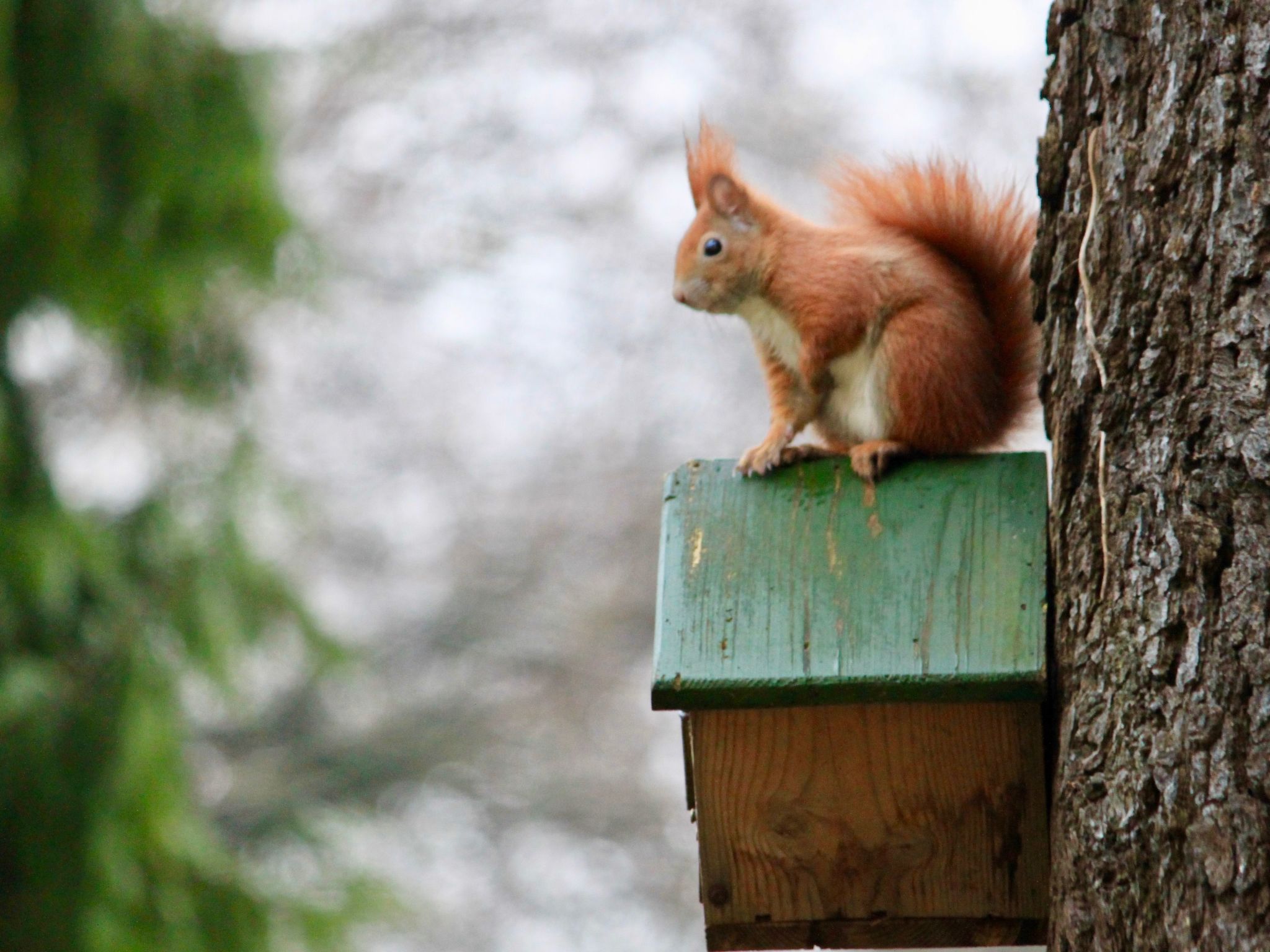 5-Sterne (Deutscher Tourismusverband) - Erholung wie ein König --Image-tags.info