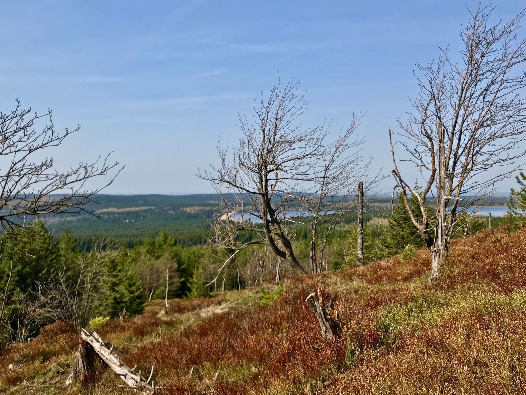 5-Sterne (Deutscher Tourismusverband) - Erholung wie ein König --Image-tags.info