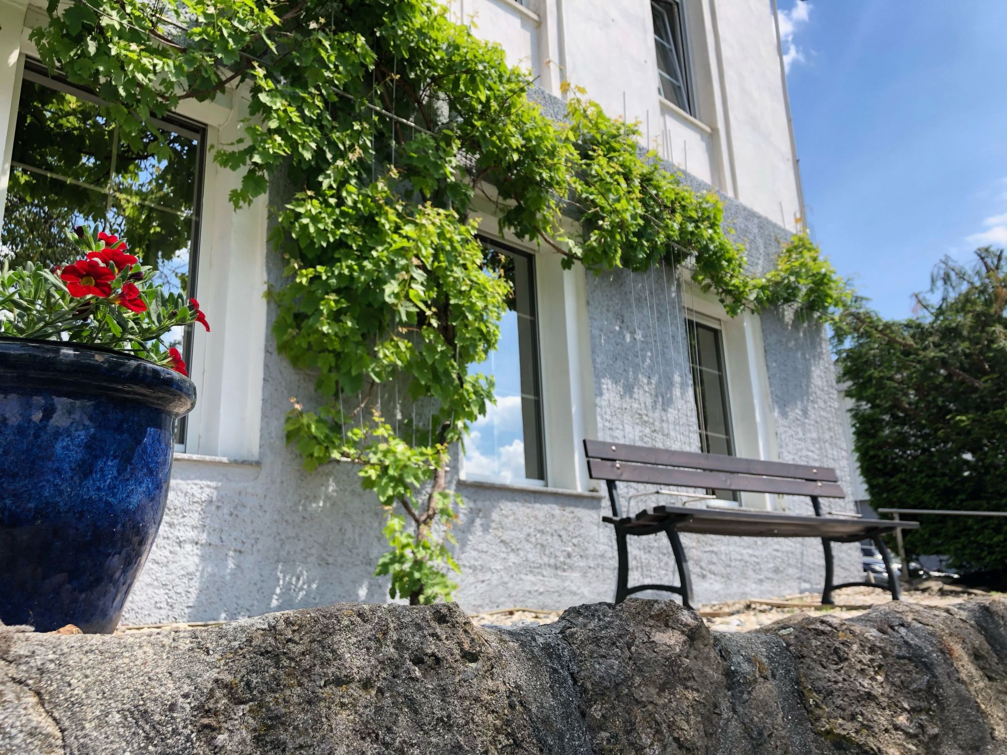 Gemütliche Wohnung in Niederpoyritz mit Garten-Drinnen