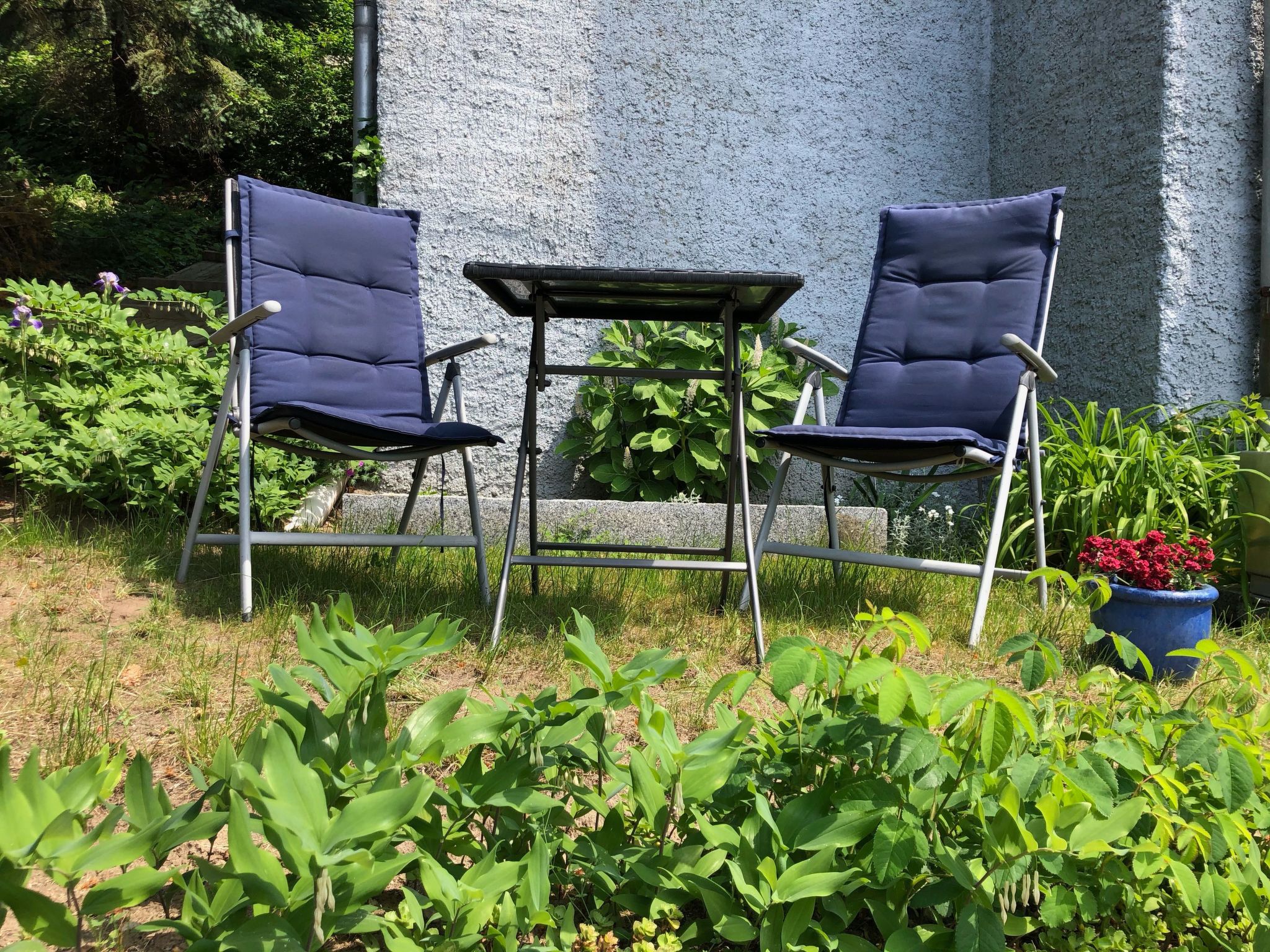 Gemütliche Wohnung in Niederpoyritz mit Garten-Drinnen