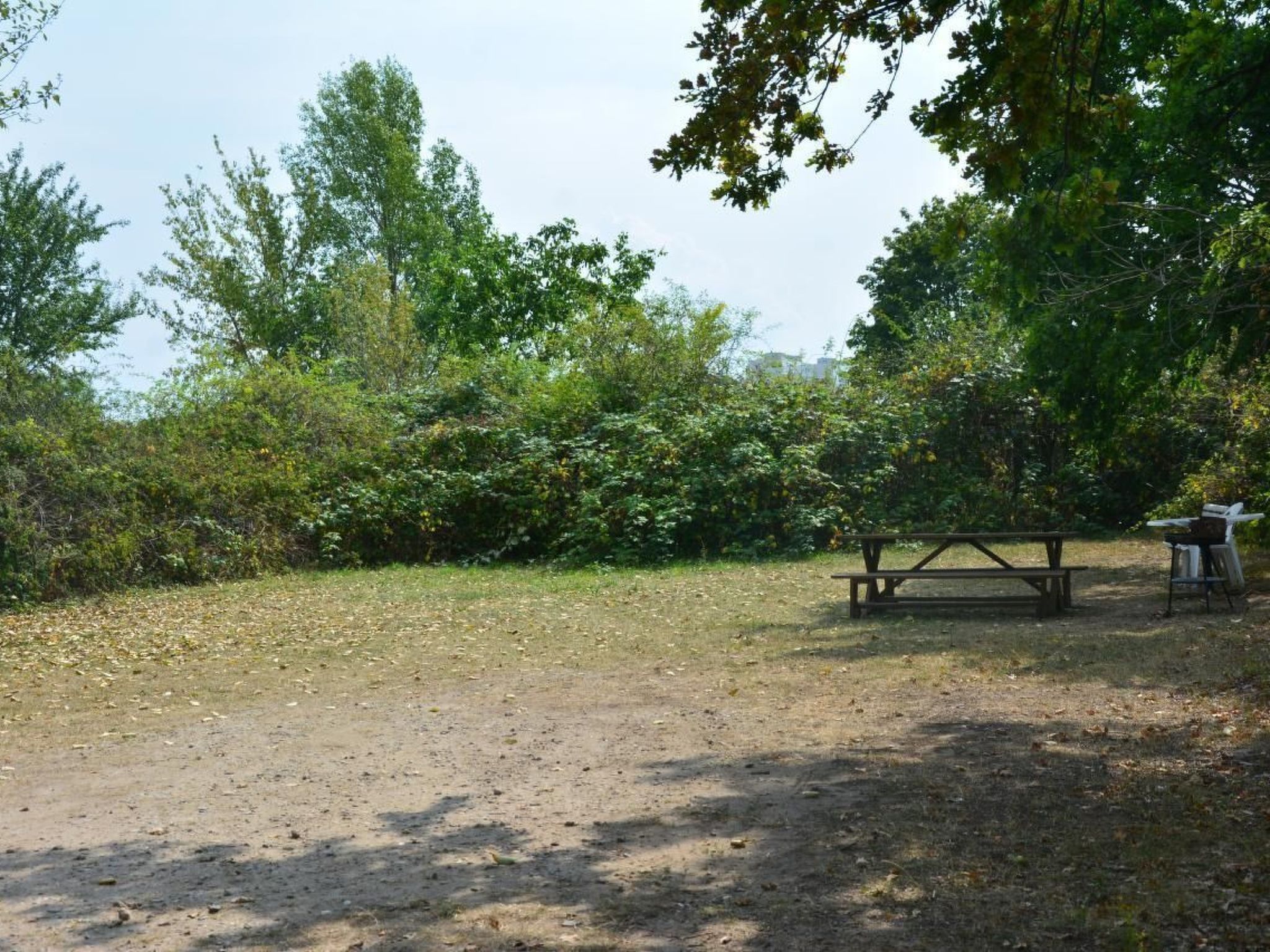 SACHSENLIEBE-Image-tags.info