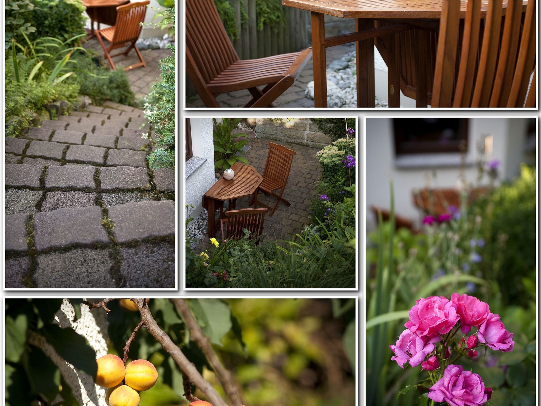 Fewo Ginkgo II-Drinnen