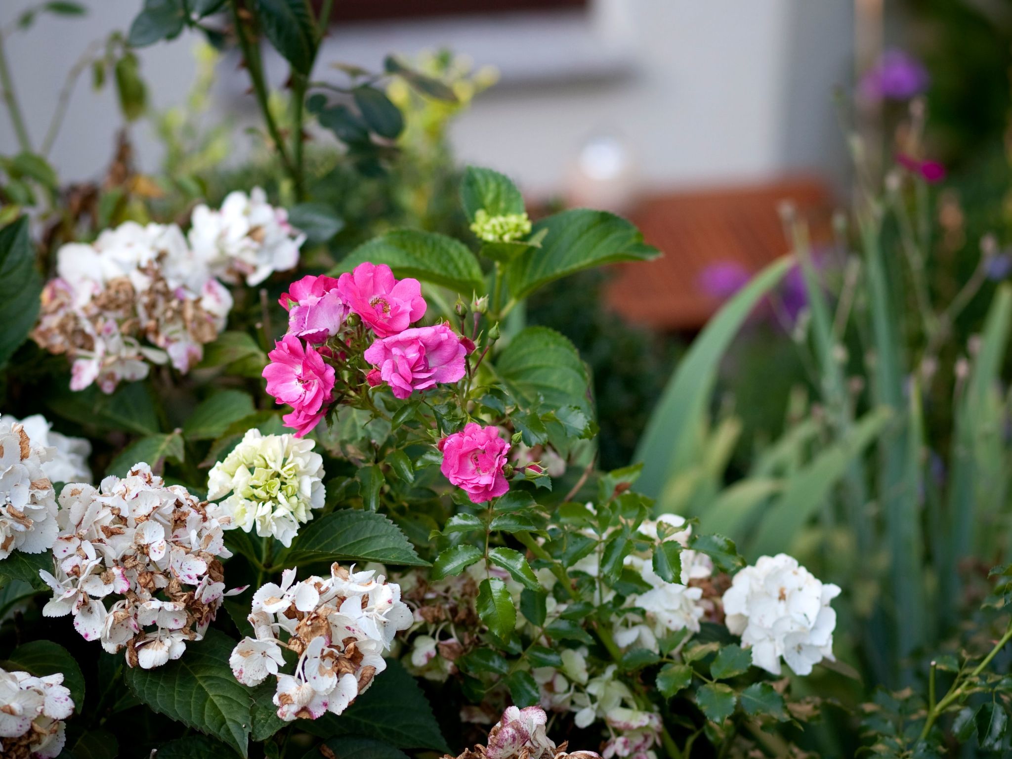 Fewo Ginkgo II-Drinnen