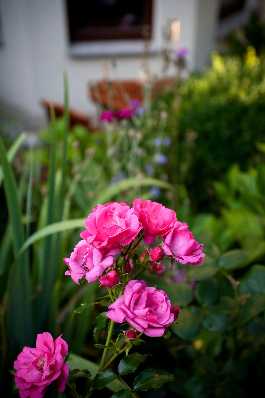 Fewo Ginkgo II-Drinnen