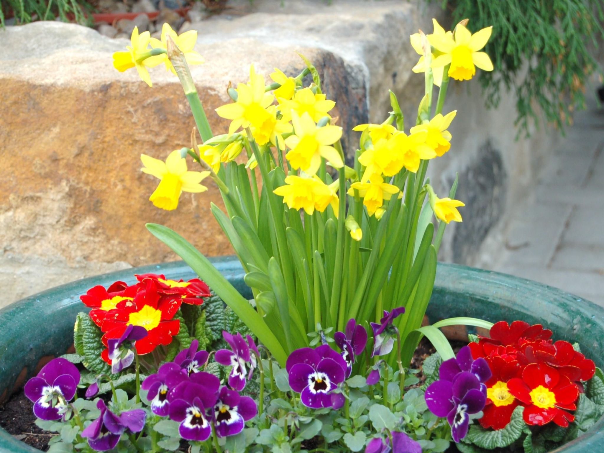 2-Raum-Ferienwohnung-Binnen