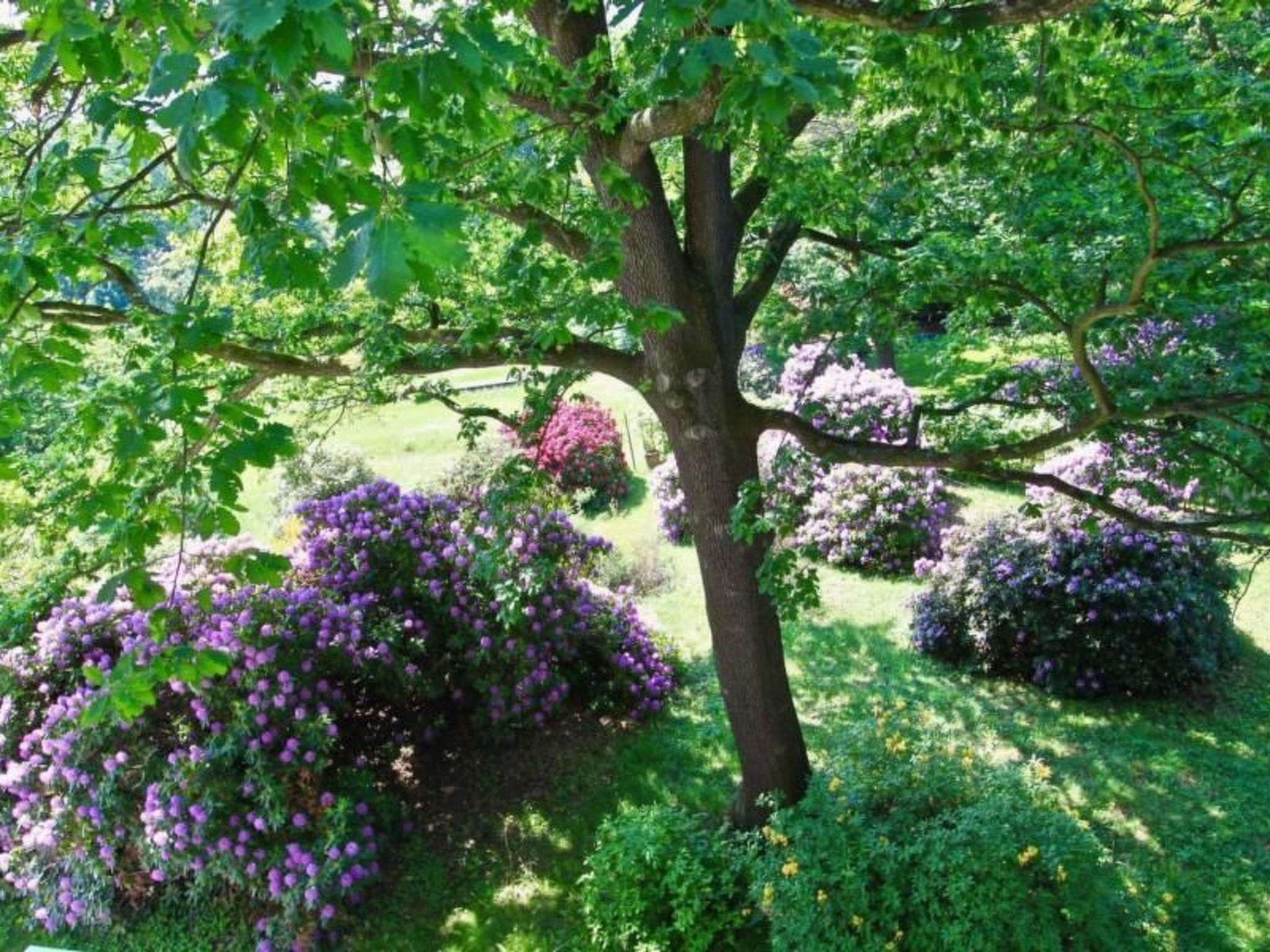 Fewo Natur und Kunst-Drinnen