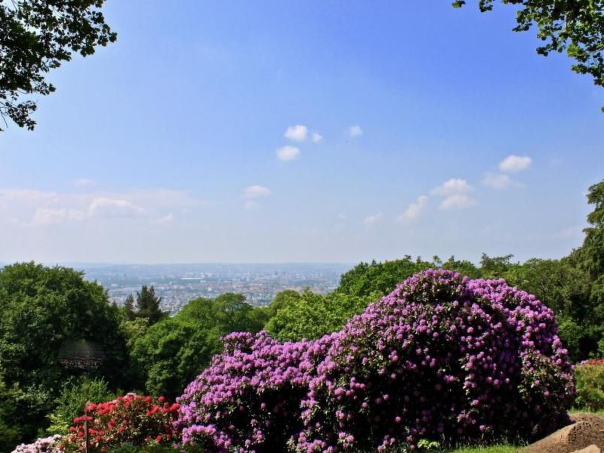 Fewo Natur und Kunst-Drinnen