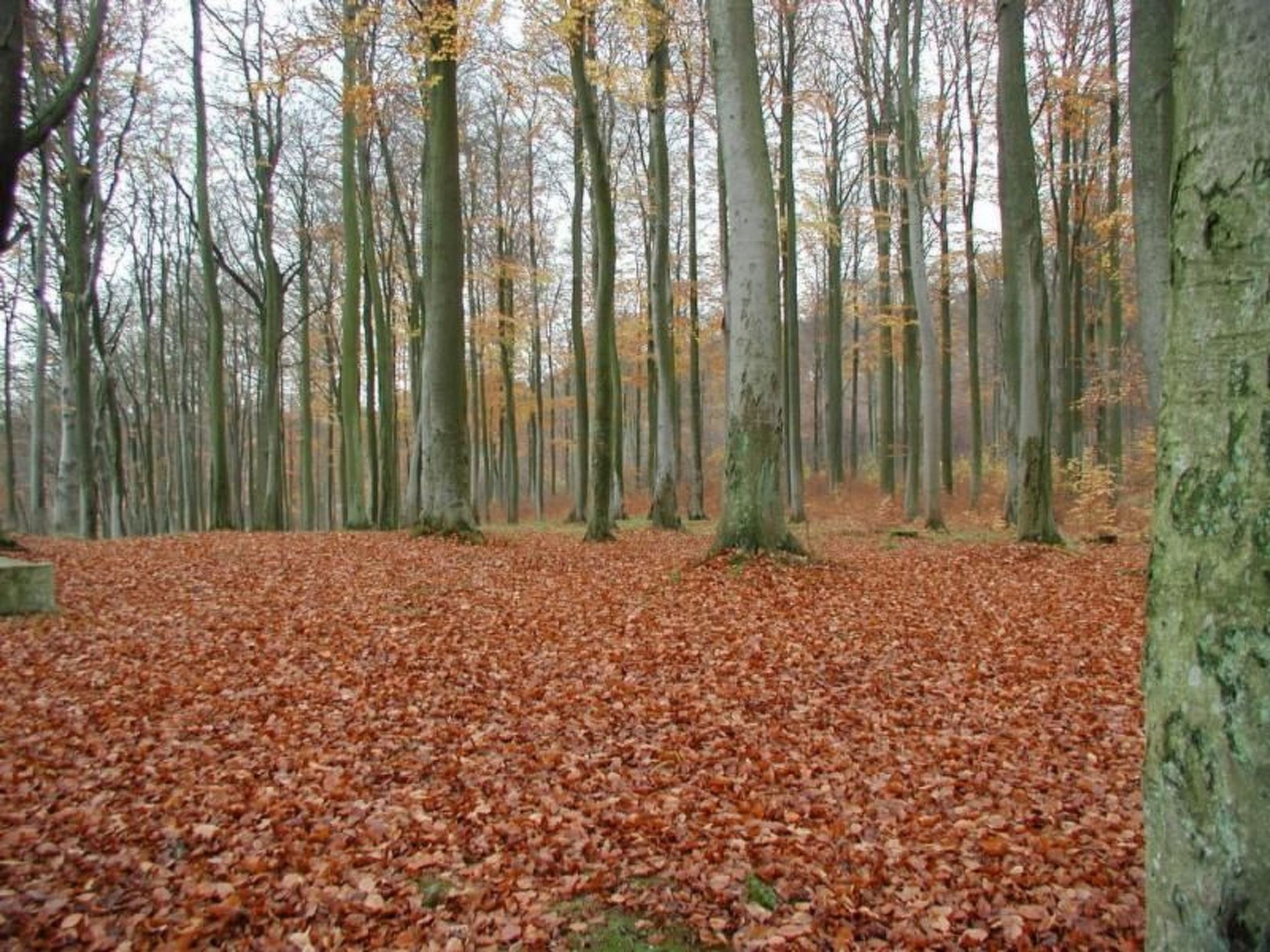 Fewo Natur und Kunst-Drinnen