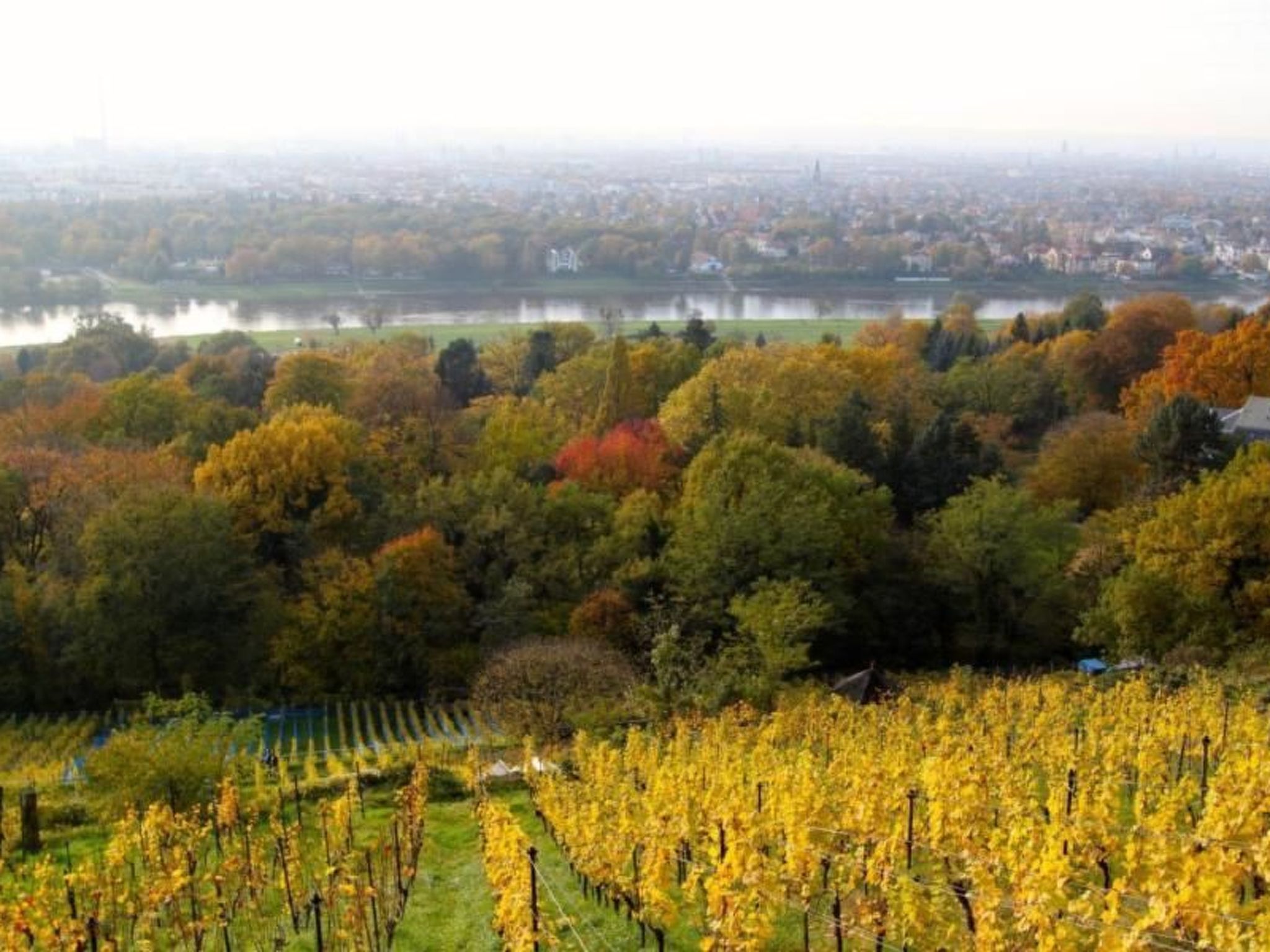 Fewo Natur und Kunst-Drinnen