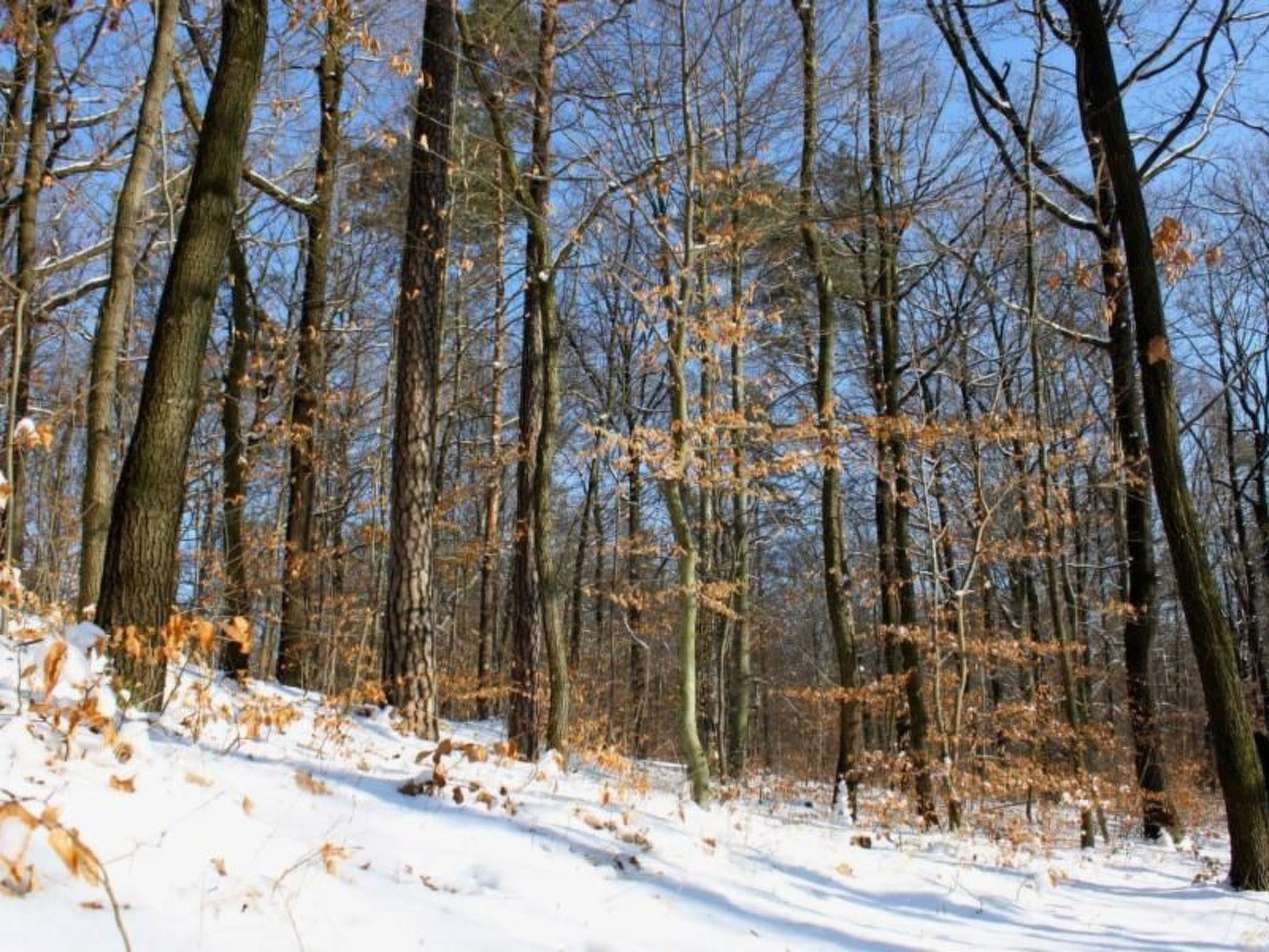 Fewo Natur und Kunst-Drinnen