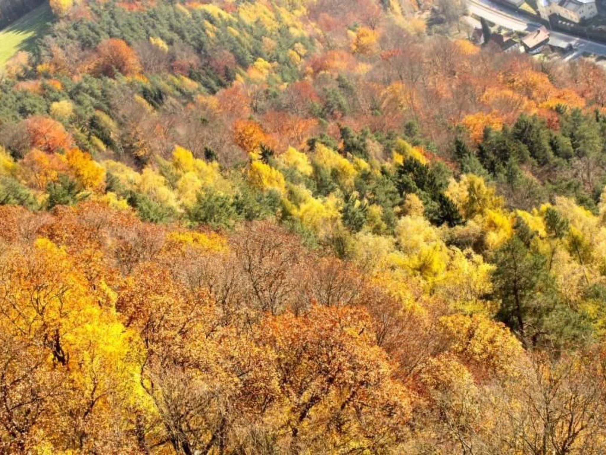 Fewo Natur und Kunst-Drinnen