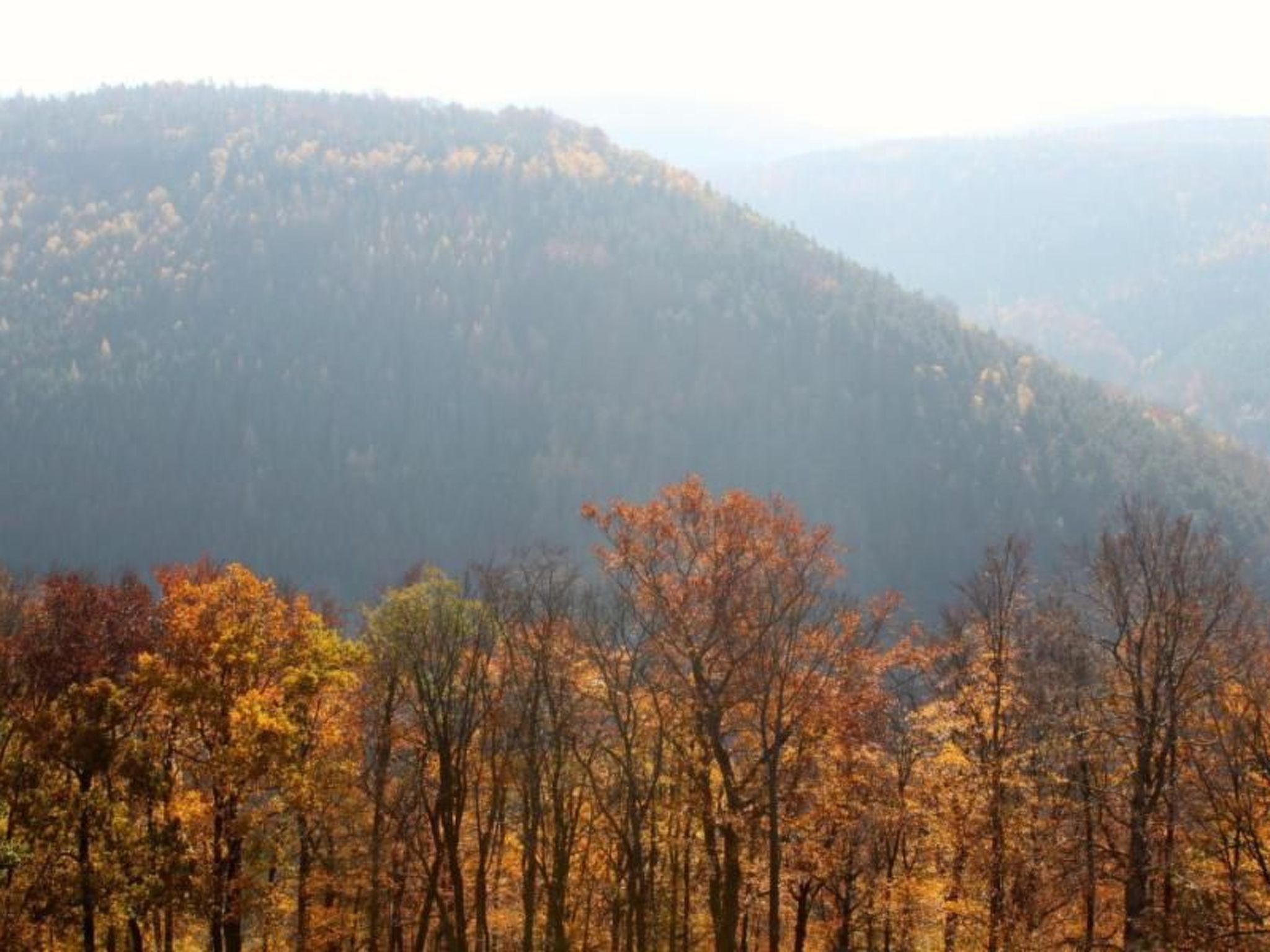 Fewo Natur und Kunst-Drinnen