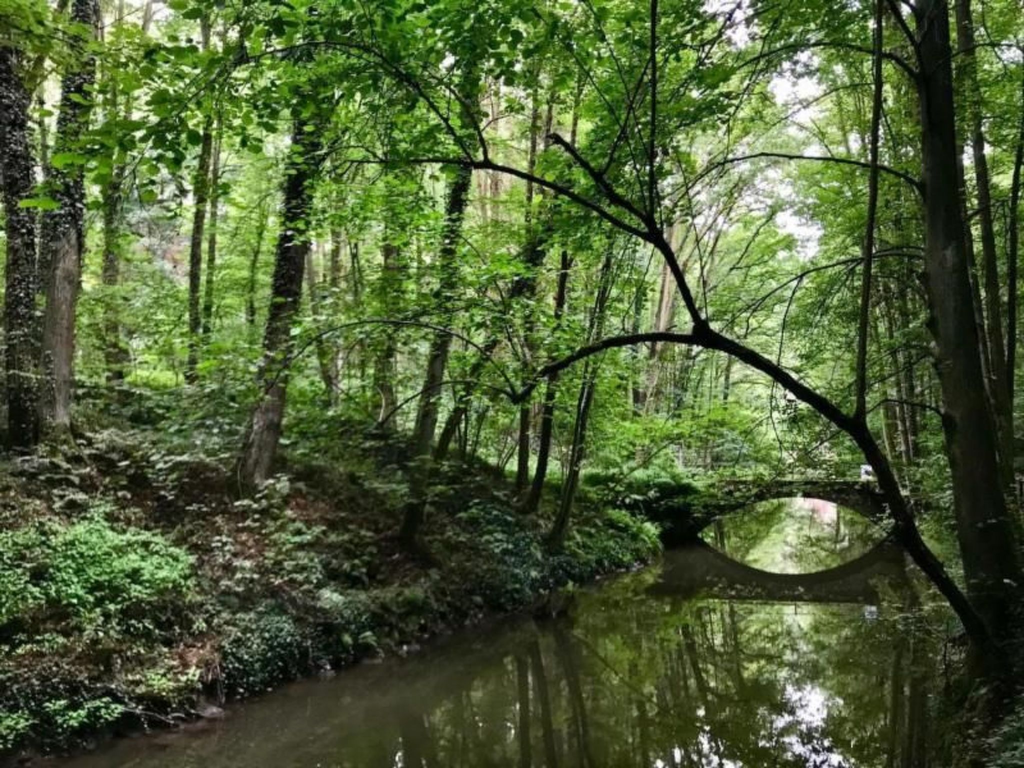 Fewo Natur und Kunst-Drinnen