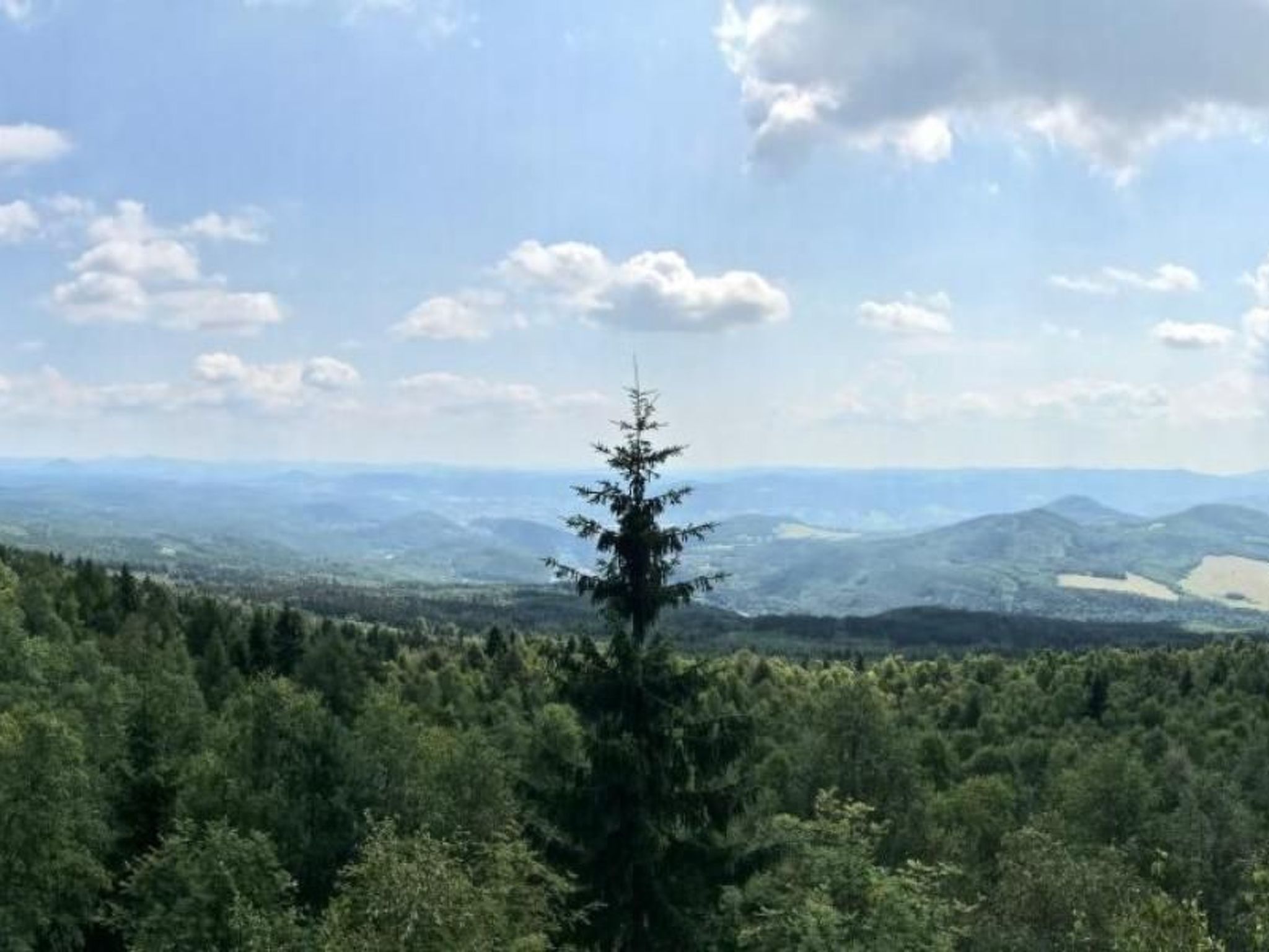 Fewo Natur und Kunst-Drinnen