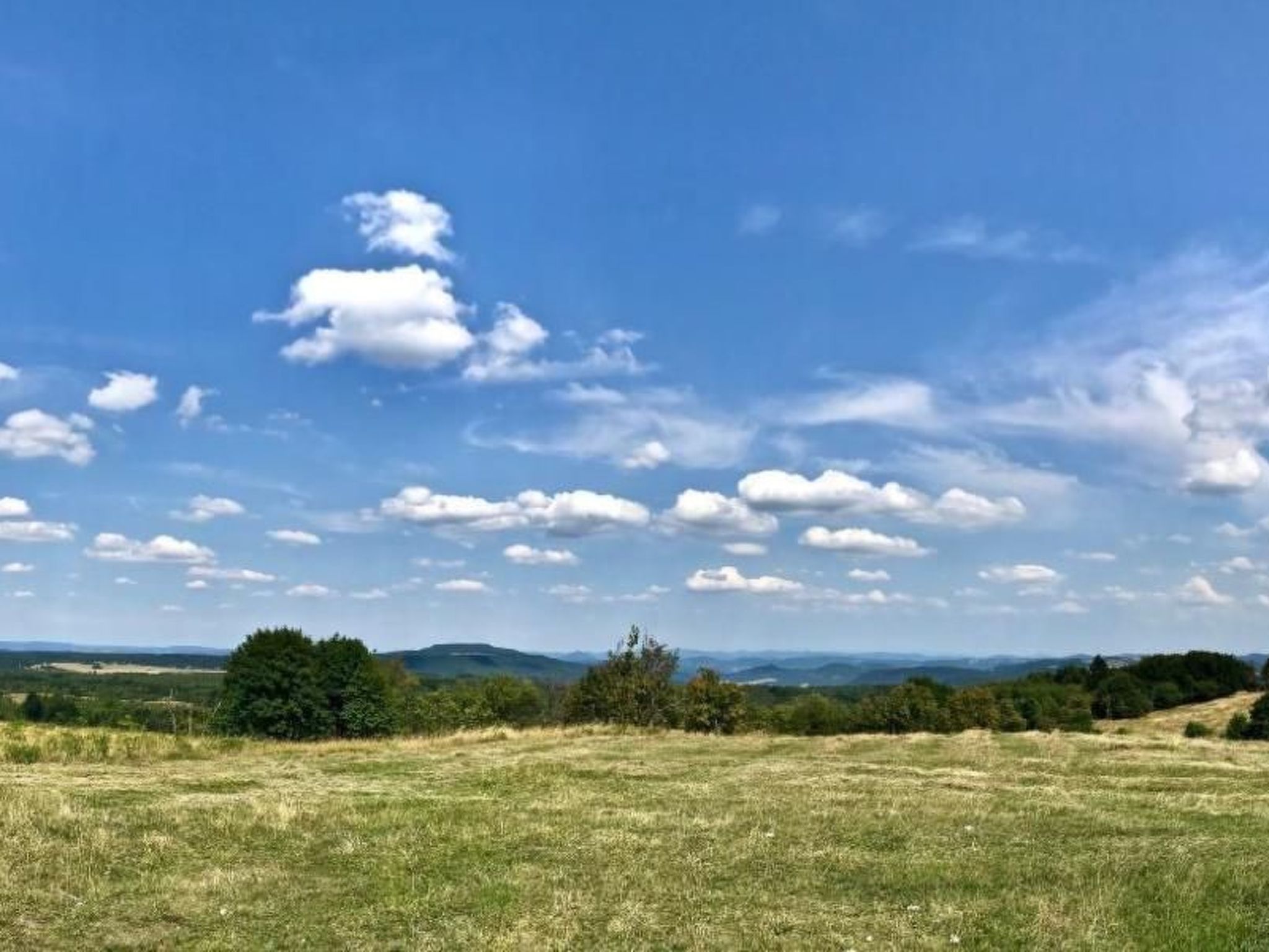 Fewo Natur und Kunst-Drinnen