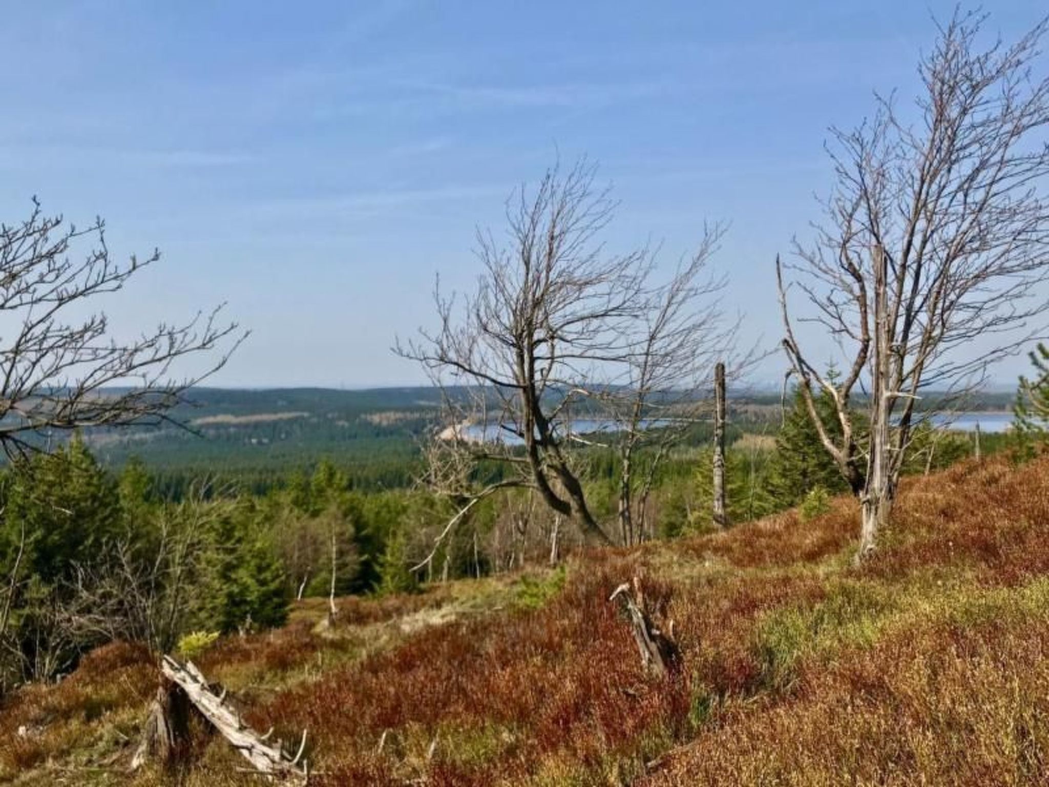 Fewo Natur und Kunst-Drinnen