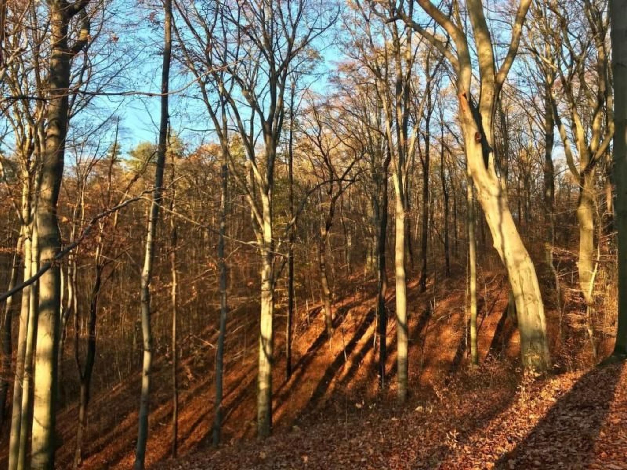 Fewo Natur und Kunst-Drinnen