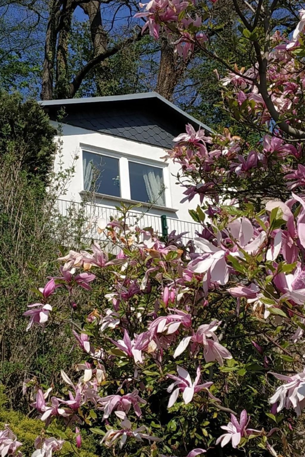 In Pirna mit Schöner Terrasse-Drinnen